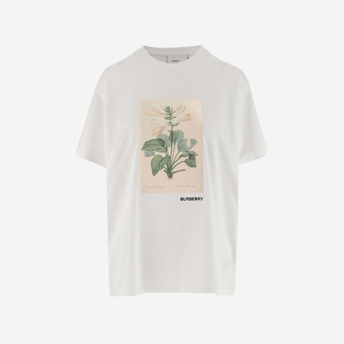 (W) Burberry Botanical Sketch Print Cotton Oversized T-Shirt White 상세 이미지 1