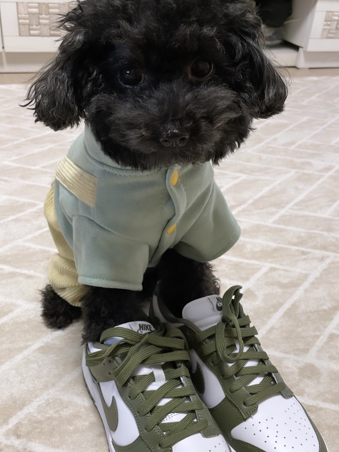(W) Nike Dunk Low Medium Olive 착용 스타일