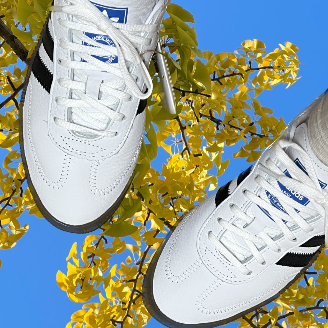 (W) Adidas Sambarose White Black Gum 착용 스타일