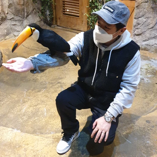 스타일 카드