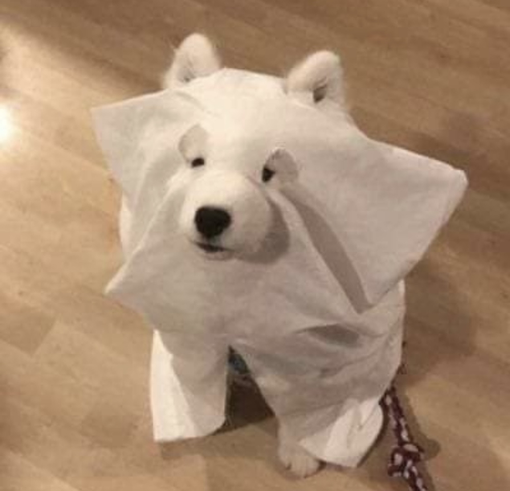 KREAM 프로필 이미지