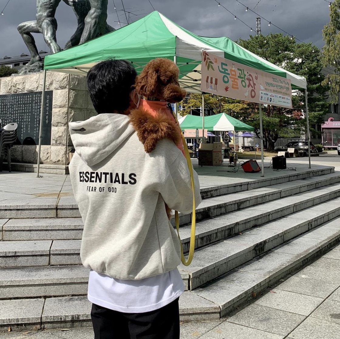 Essentials The Core Collection Hoodie Light Oatmeal 착용 스타일 - 1