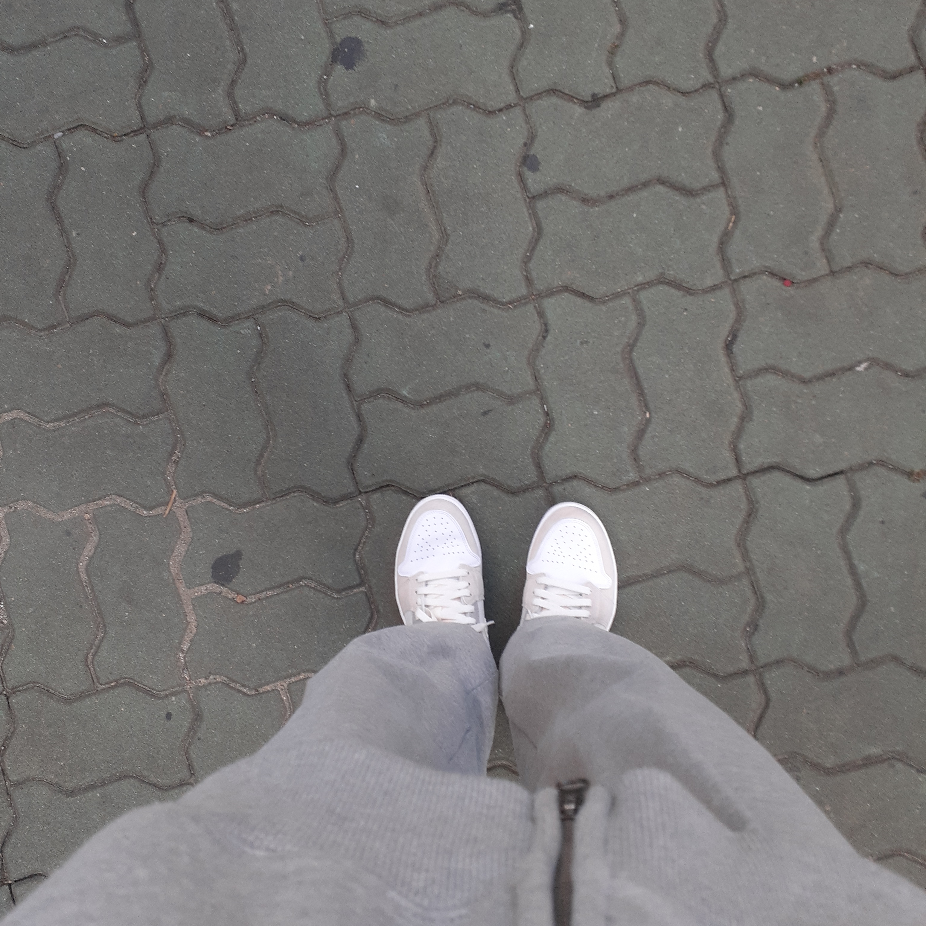 Jordan 1 Low SE Craft White and Phantom 착용 스타일