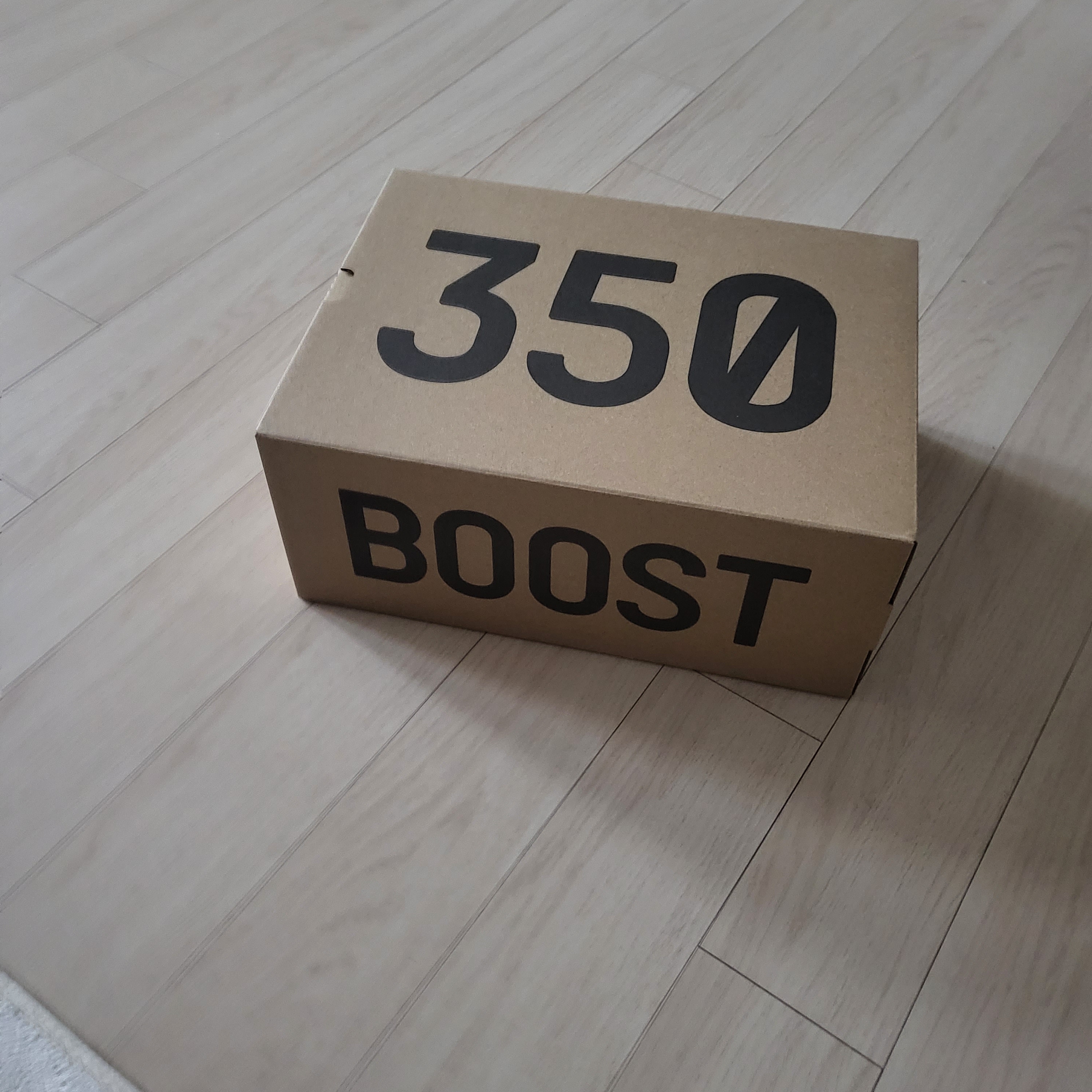 Adidas Yeezy Boost 350 V2 Salt Core Black 착용 스타일 - 3