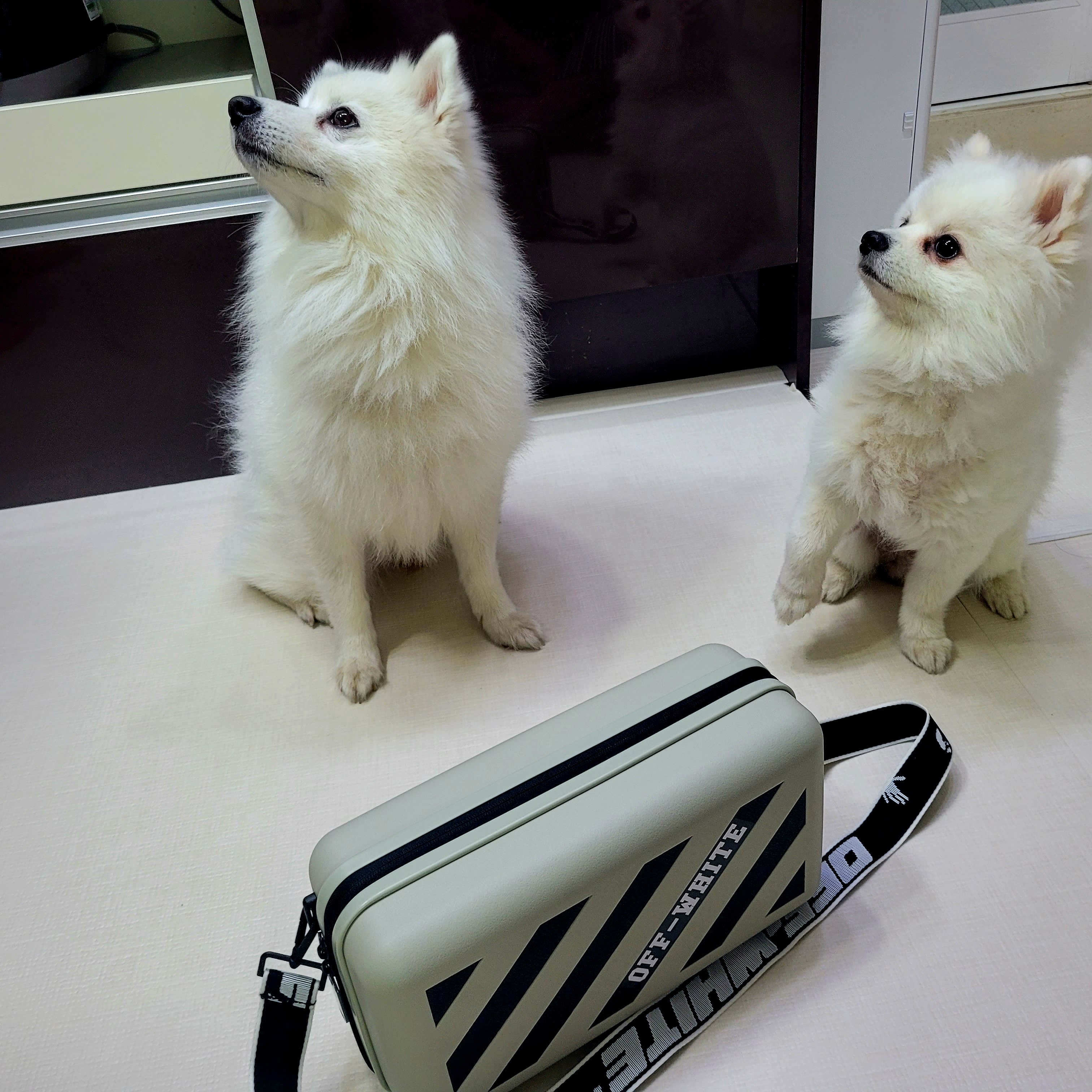 Off-White x Amore Pacific Protection Box (Without Cosmetics) 착용 스타일 - 1