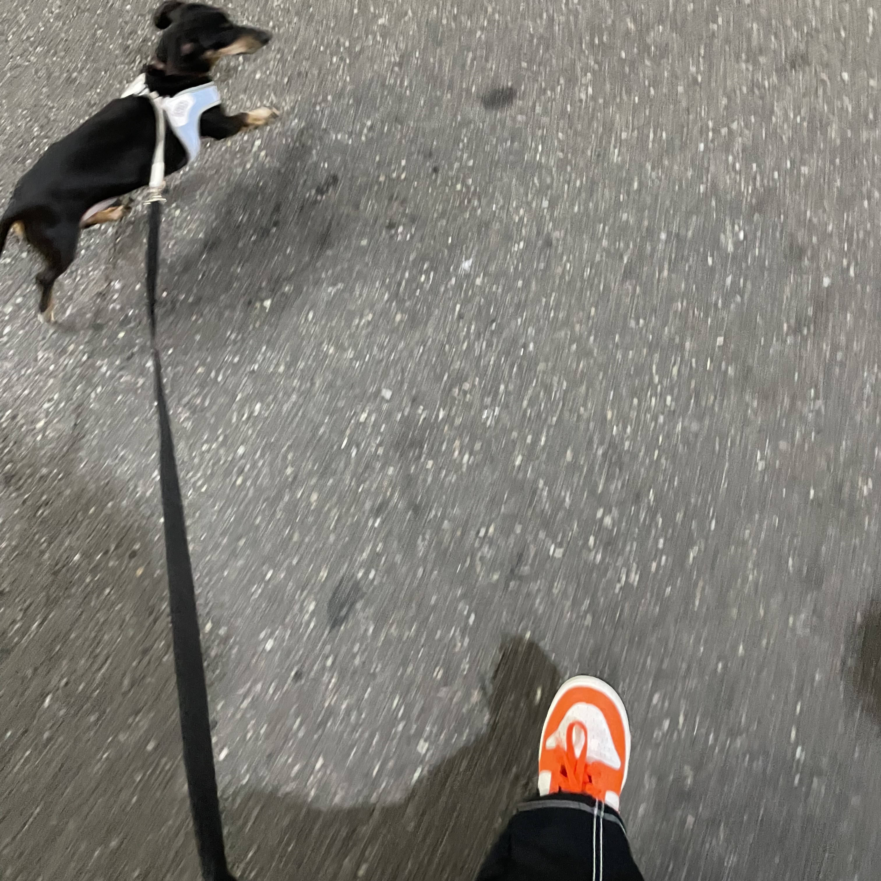 (GS) Nike Dunk Low Safety Orange 착용 스타일 - 2
