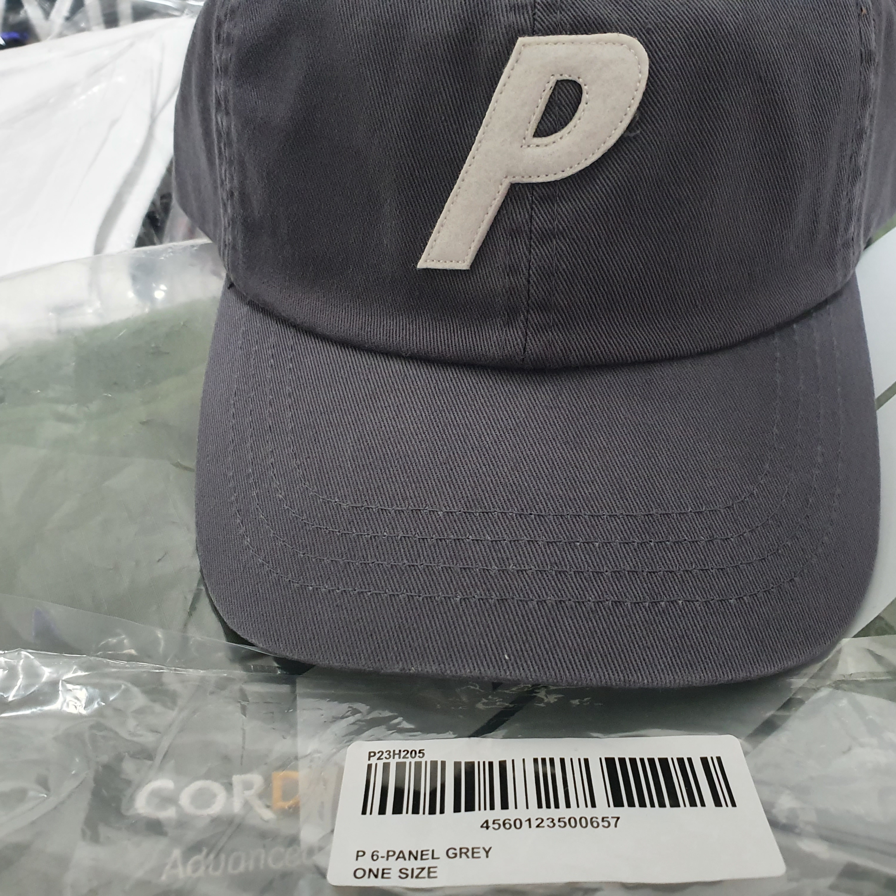 Palace P 6-Panel Grey - 22FW 착용 스타일