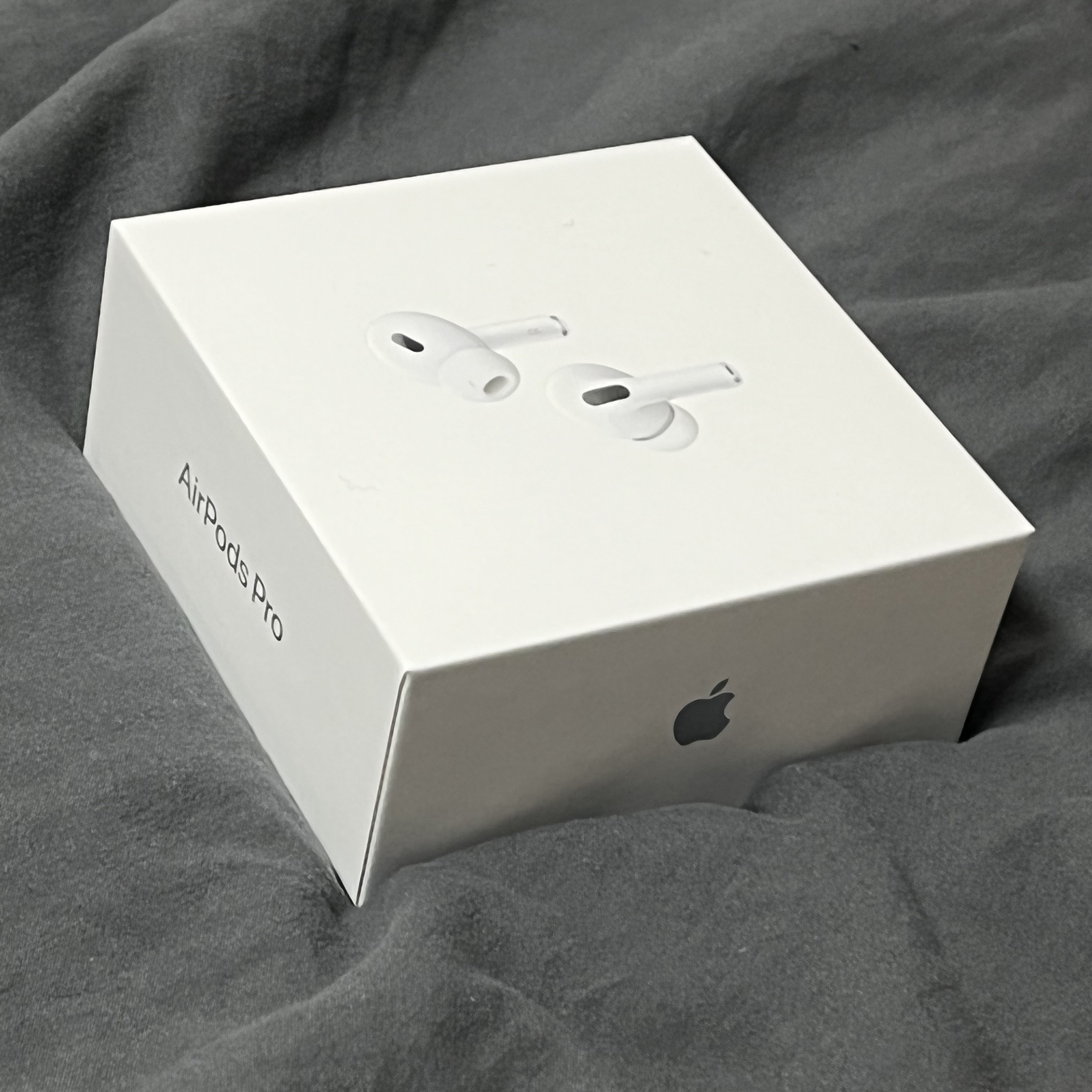 Apple AirPods Pro 2nd Gen (Korean Ver.) 착용 스타일