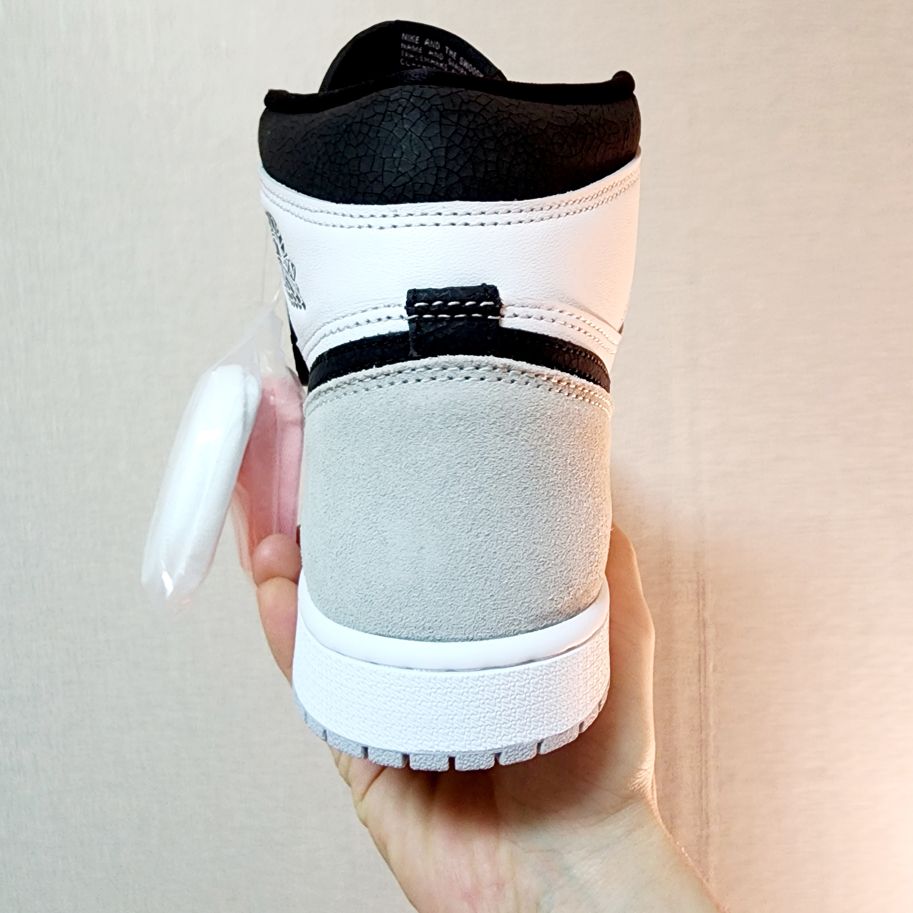 Jordan 1 Retro High OG Bleached Coral 착용 스타일 - 3