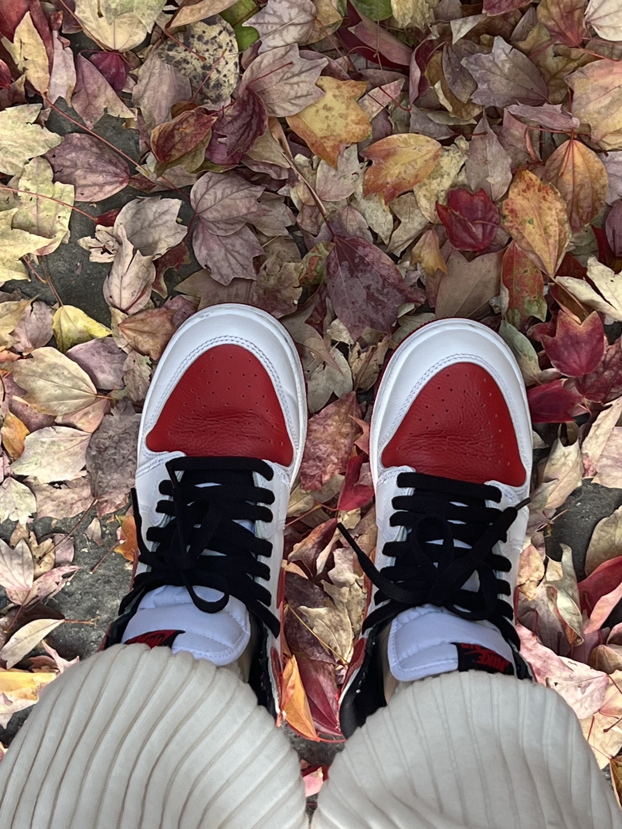Jordan 1 Retro High OG Heritage, Dior Micro Lady Bag Cannage Lambskin Black Gold 착용 스타일 - 3