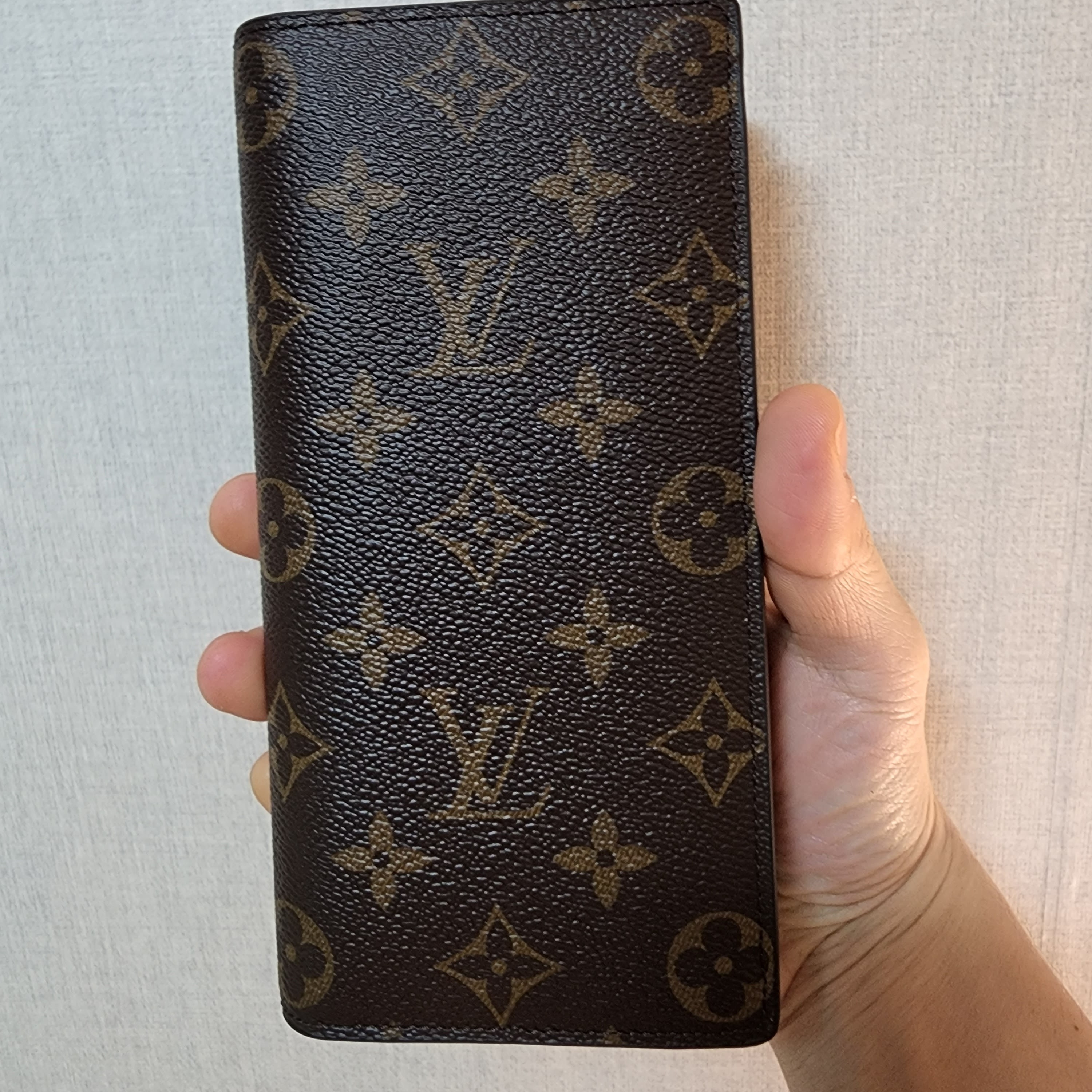 Louis Vuitton Brazza Wallet Monogram 착용 스타일 - 2