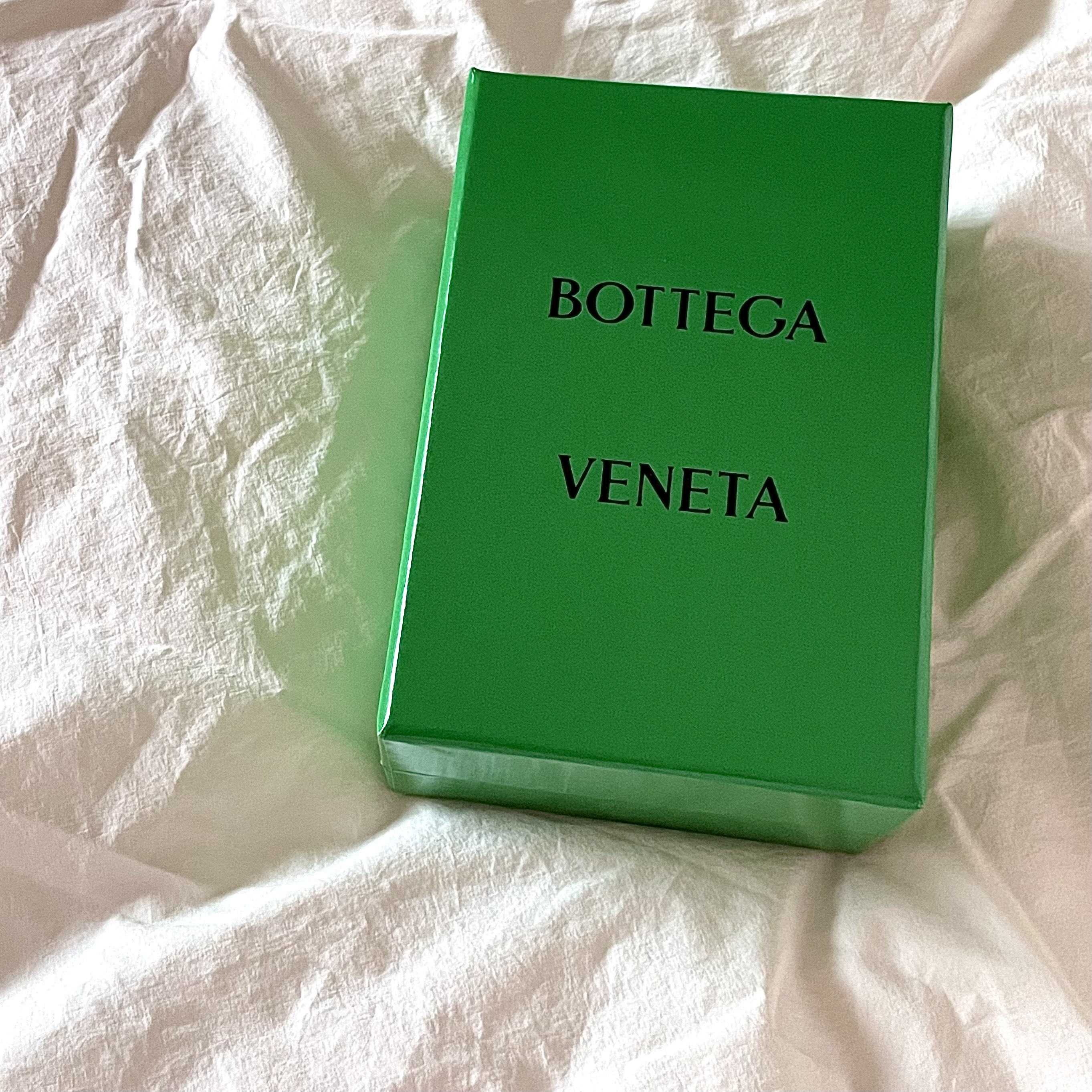 Bottega Veneta Business Card Case Parakeet 착용 스타일 - 3