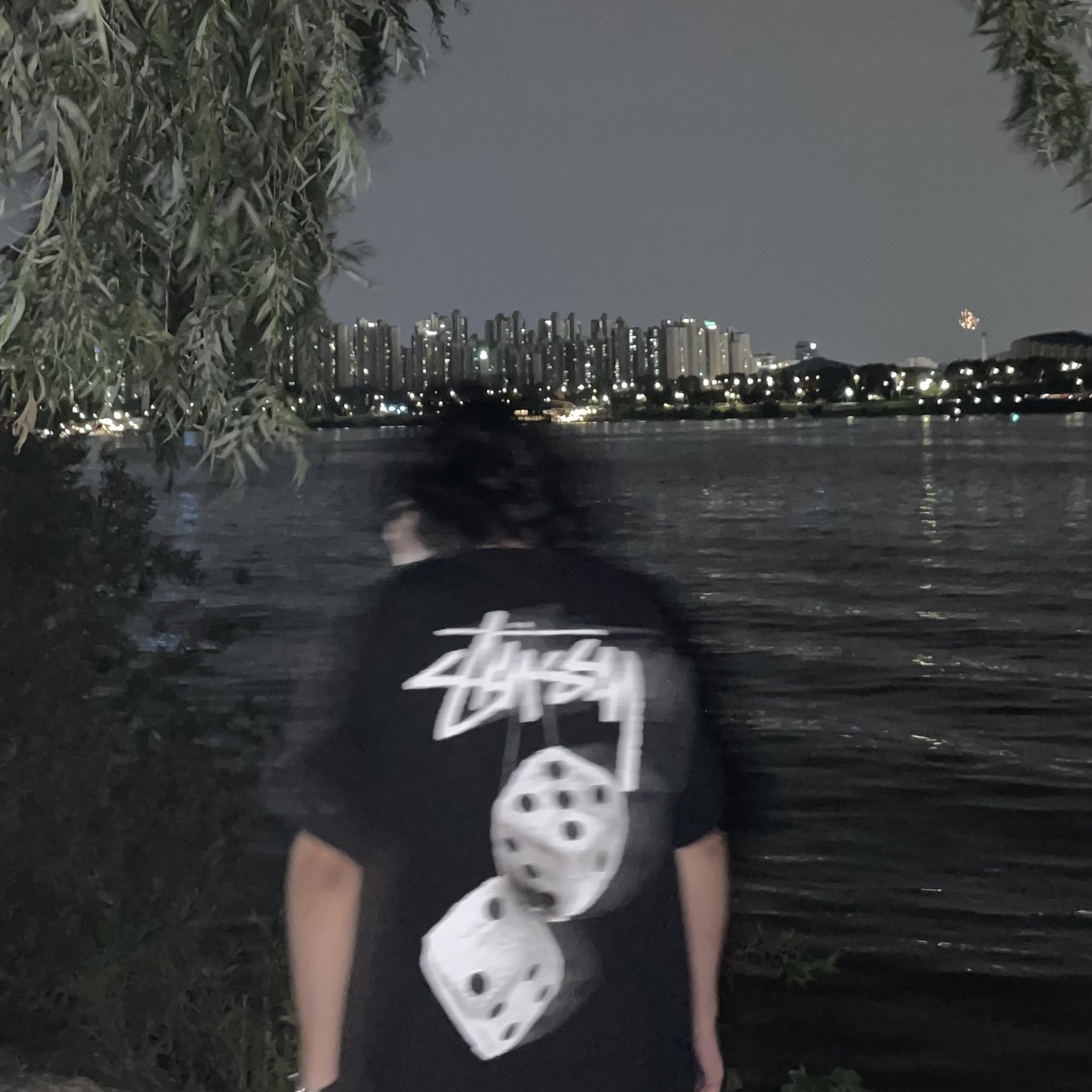 Stussy Fuzzy Dice T-Shirt Black 착용 스타일