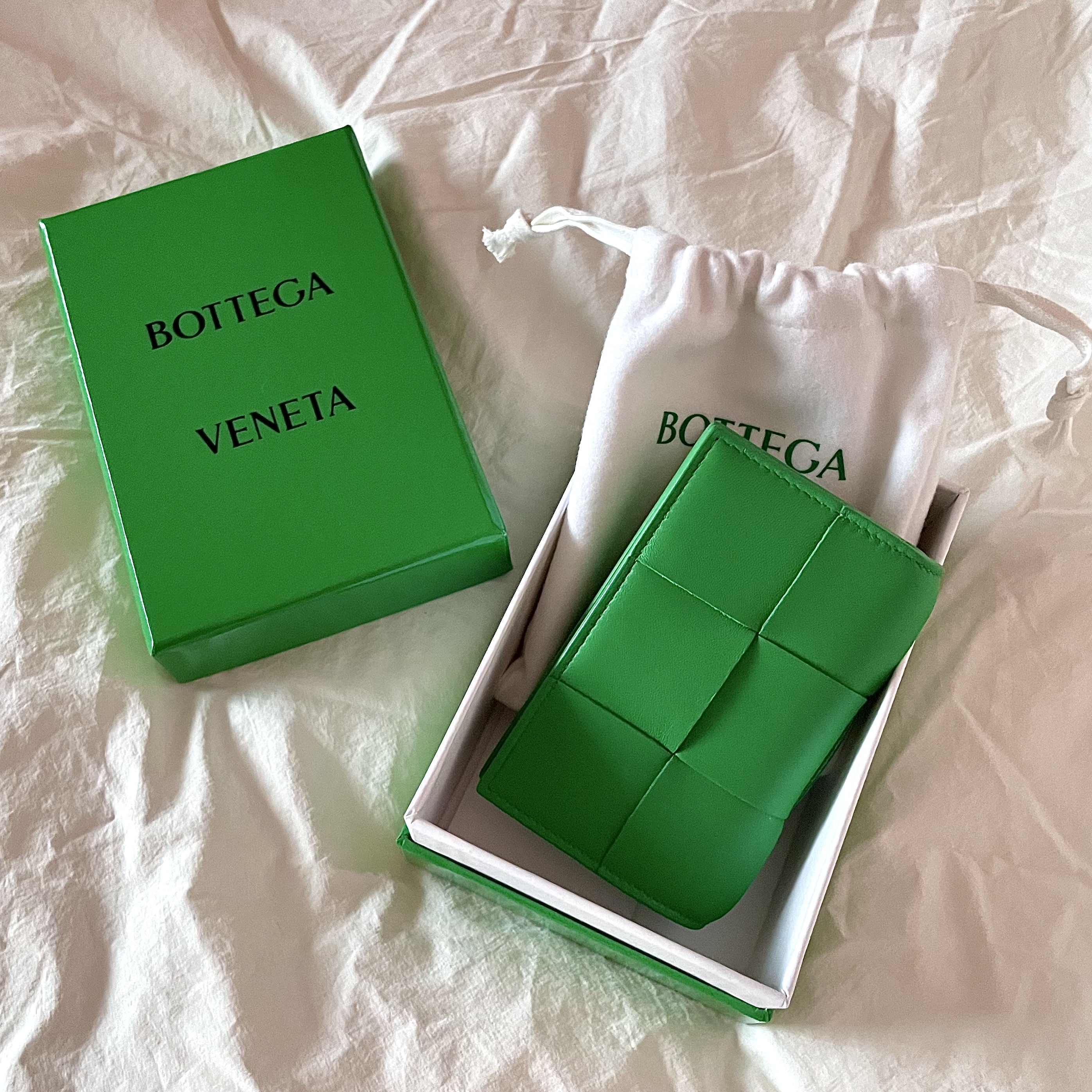 Bottega Veneta Business Card Case Parakeet 착용 스타일 - 1