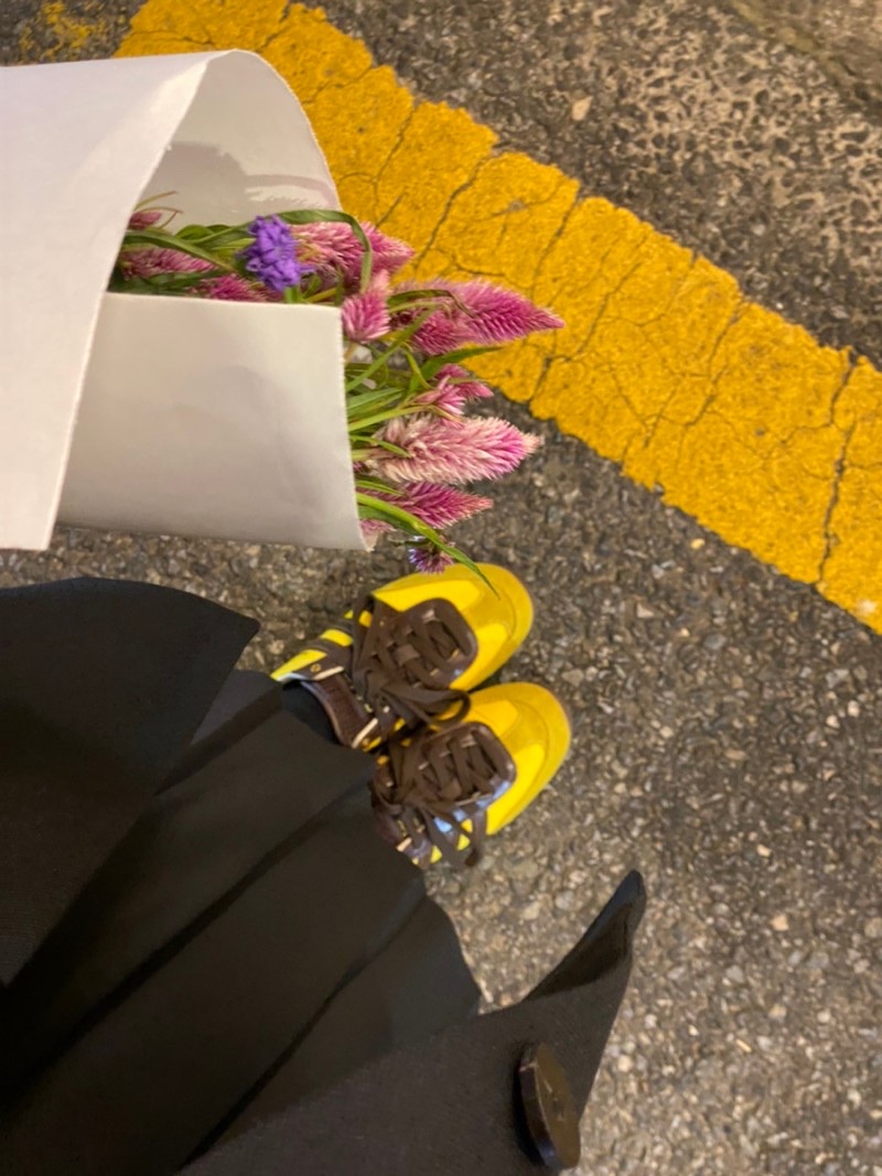 Adidas x Wales Bonner Japan Shoes Hazy Yellow Dark Brown, Apple AirPods Max Lightning Silver (Korean Ver.) 착용 스타일 - 2