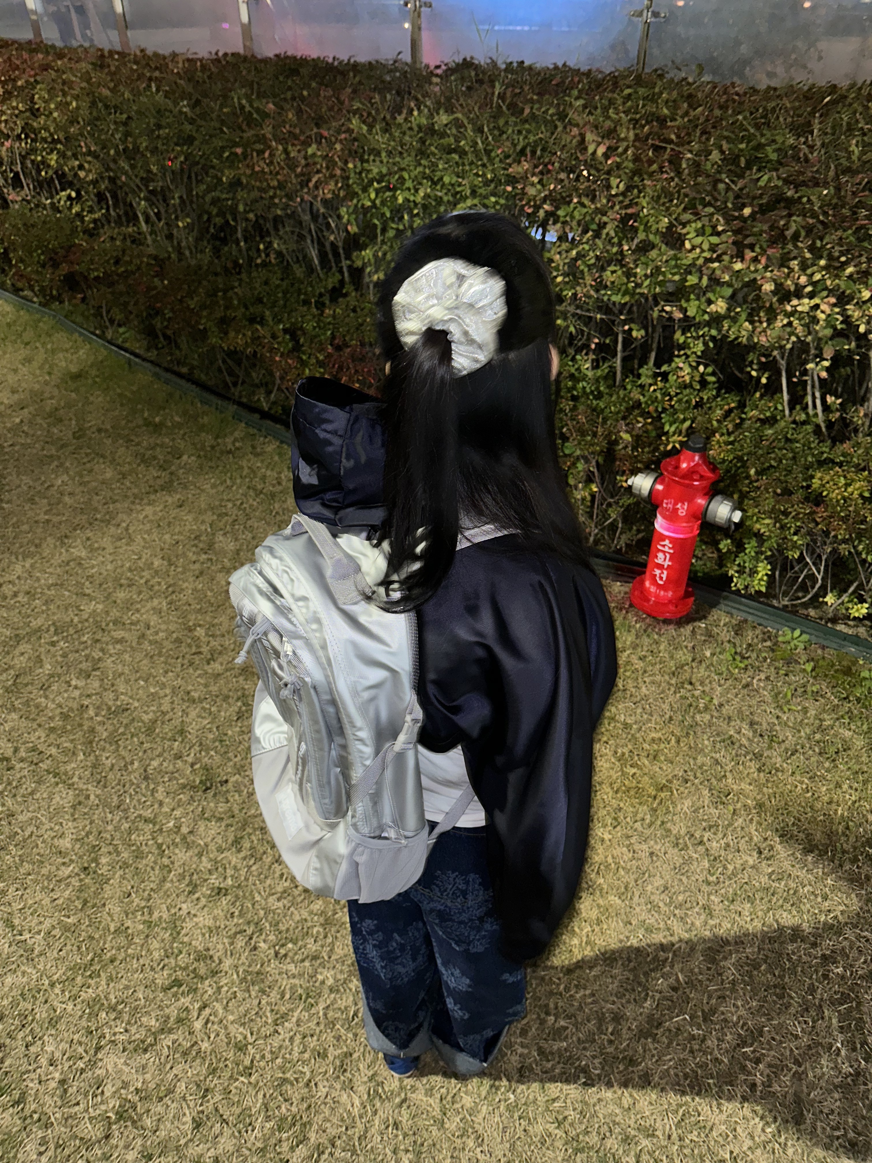Supreme Backpack Silver - 22FW, Adidas x Wales Bonner Japan Shoes Legend Ink 착용 스타일 - 3