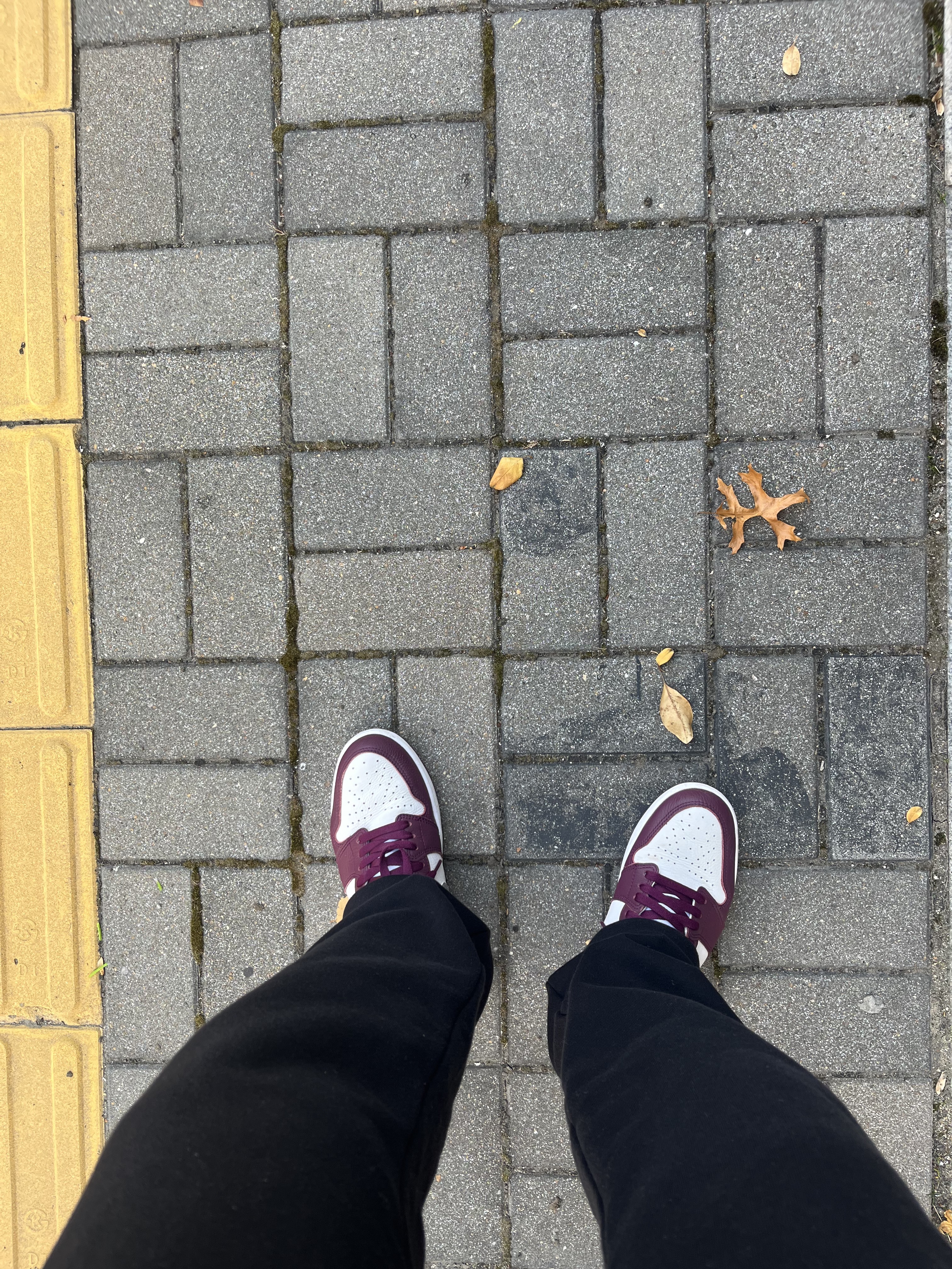 Jordan 1 Retro High OG Bordeaux, C.P. Company Pro-Tek Medium Jacket Black - 22SS 착용 스타일 - 1