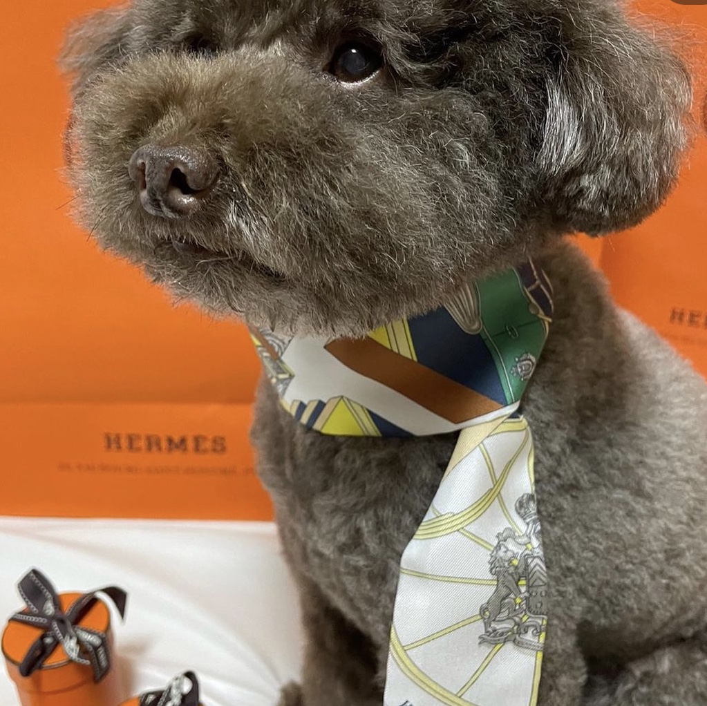 (W) Hermes Springs Springs Twilly Blanc Beige Petrole 착용 스타일