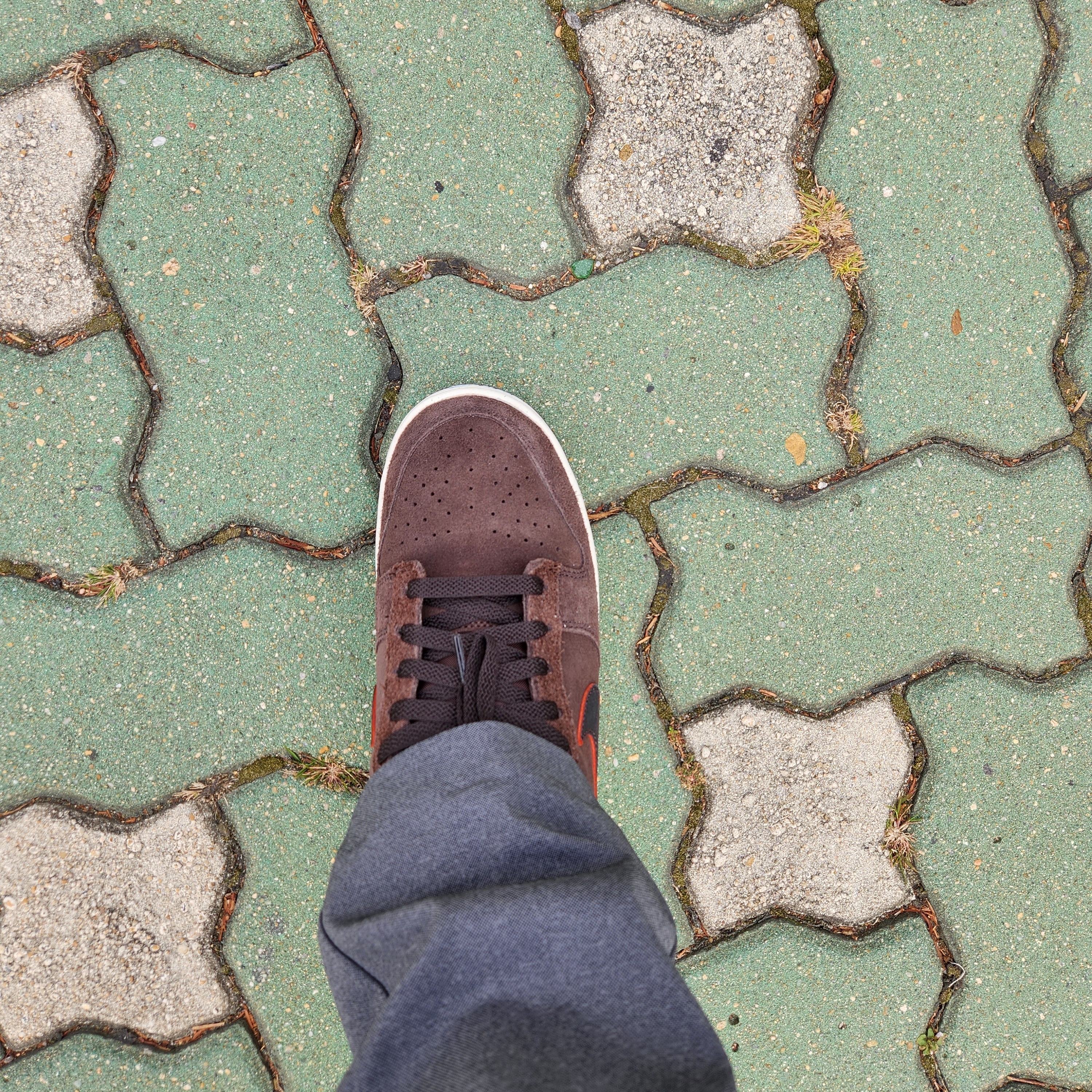 Nike Dunk Low Premium Baroque Brown and Team Orange 착용 스타일