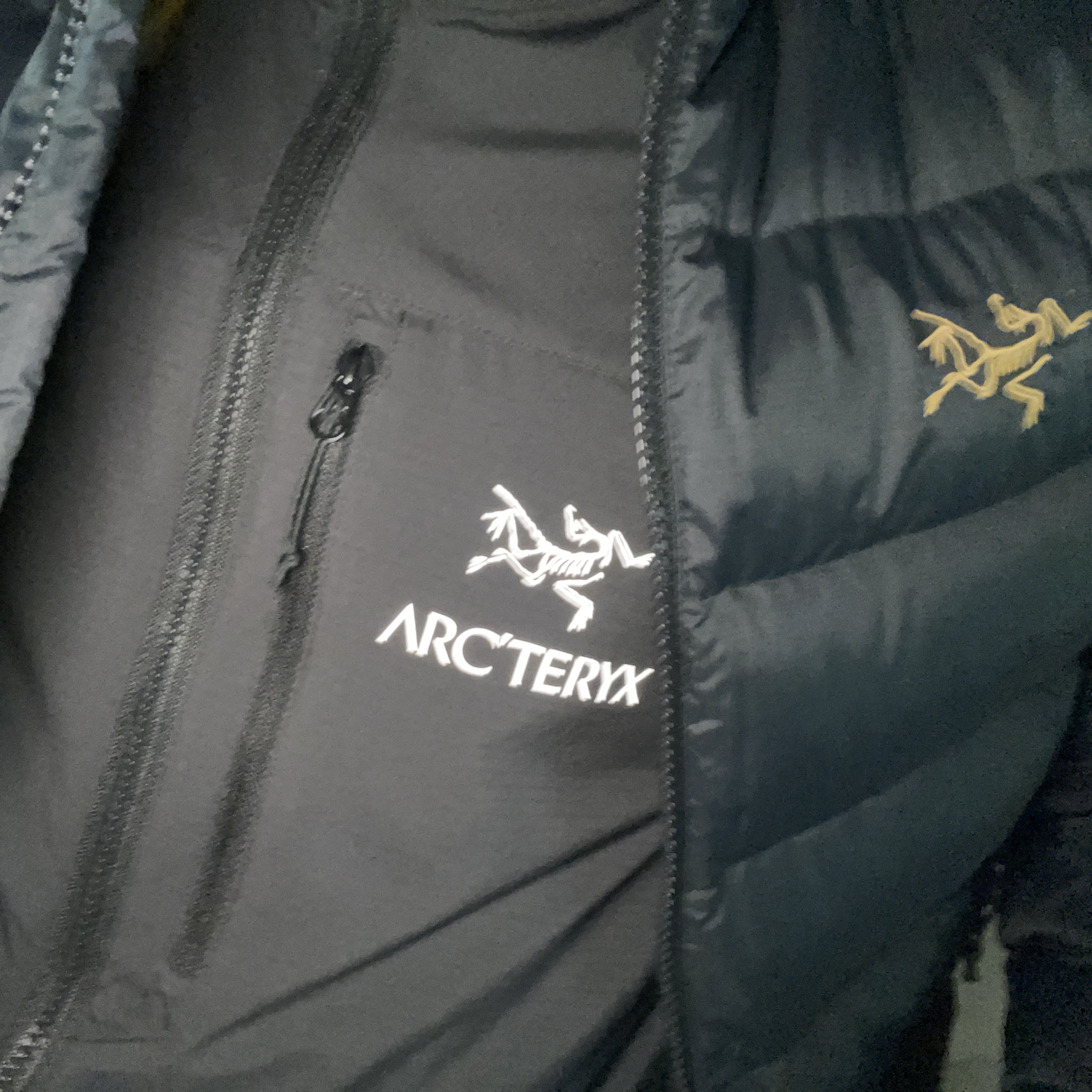 Arc'teryx Squamish Hoody Black, Arc'teryx Thorium AR Hoody 24K Black 착용 스타일 - 1