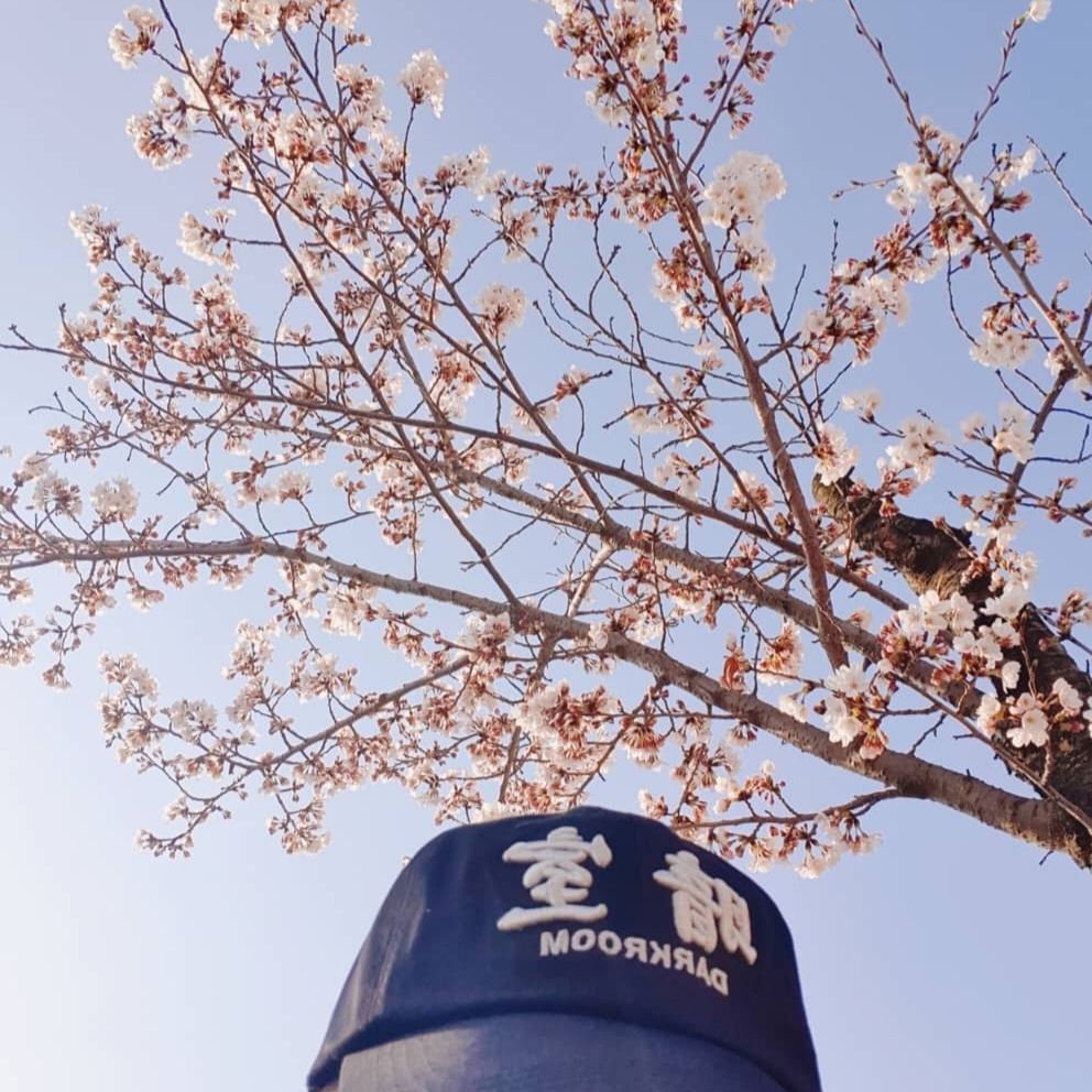 Darkr8m Studio White Logo Cap 착용 스타일
