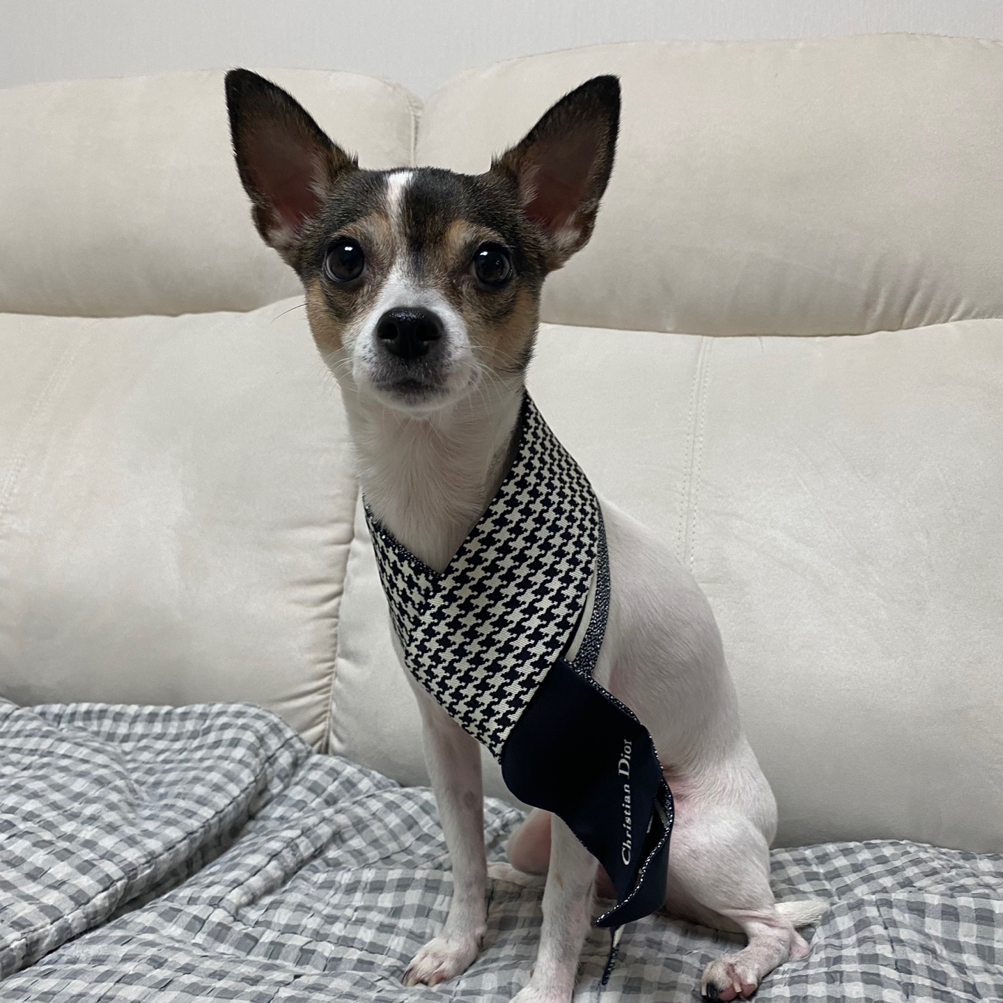 (W) Dior 30 Montaigne Mitzah Scarf Silk Twill Black White 착용 스타일