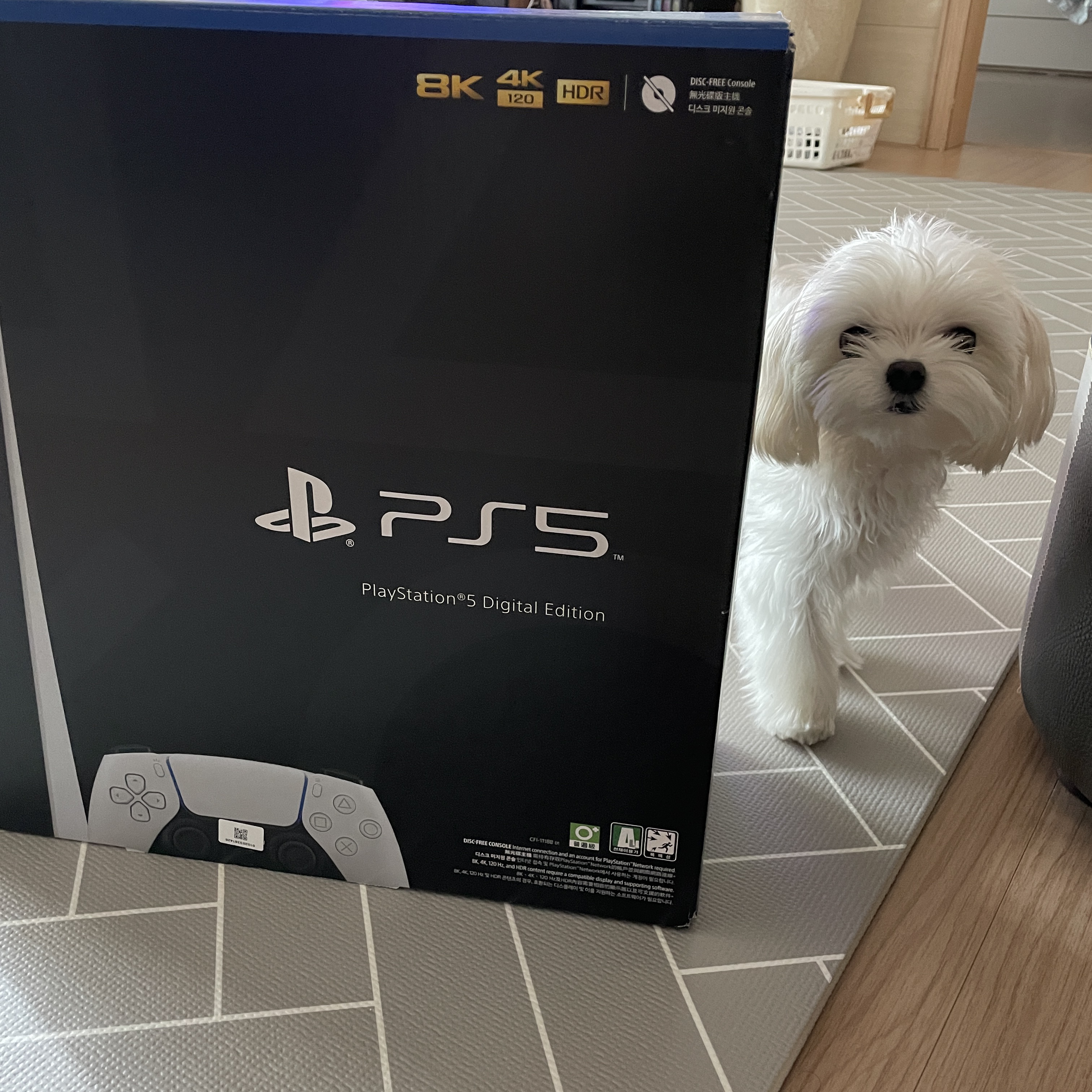 Playstation 5 Digital Edition (SIEK 220V), Playstation 5 DualSense Wireless Controller White (Korean Ver.) 착용 스타일
