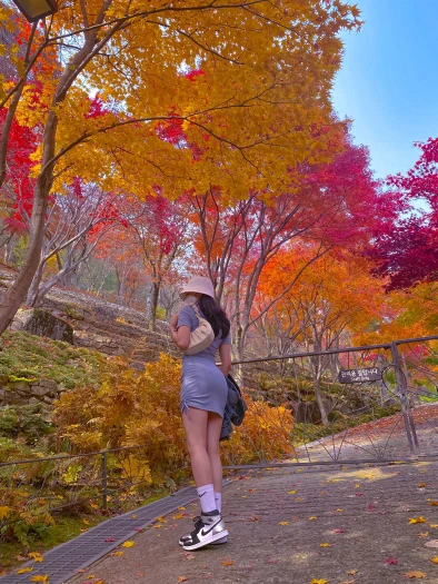 스타일 카드