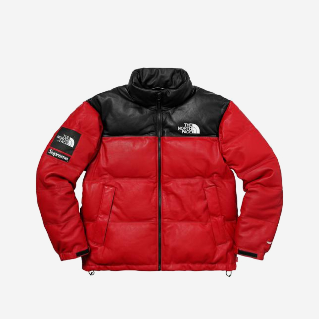 Supreme the deals north face 17fw