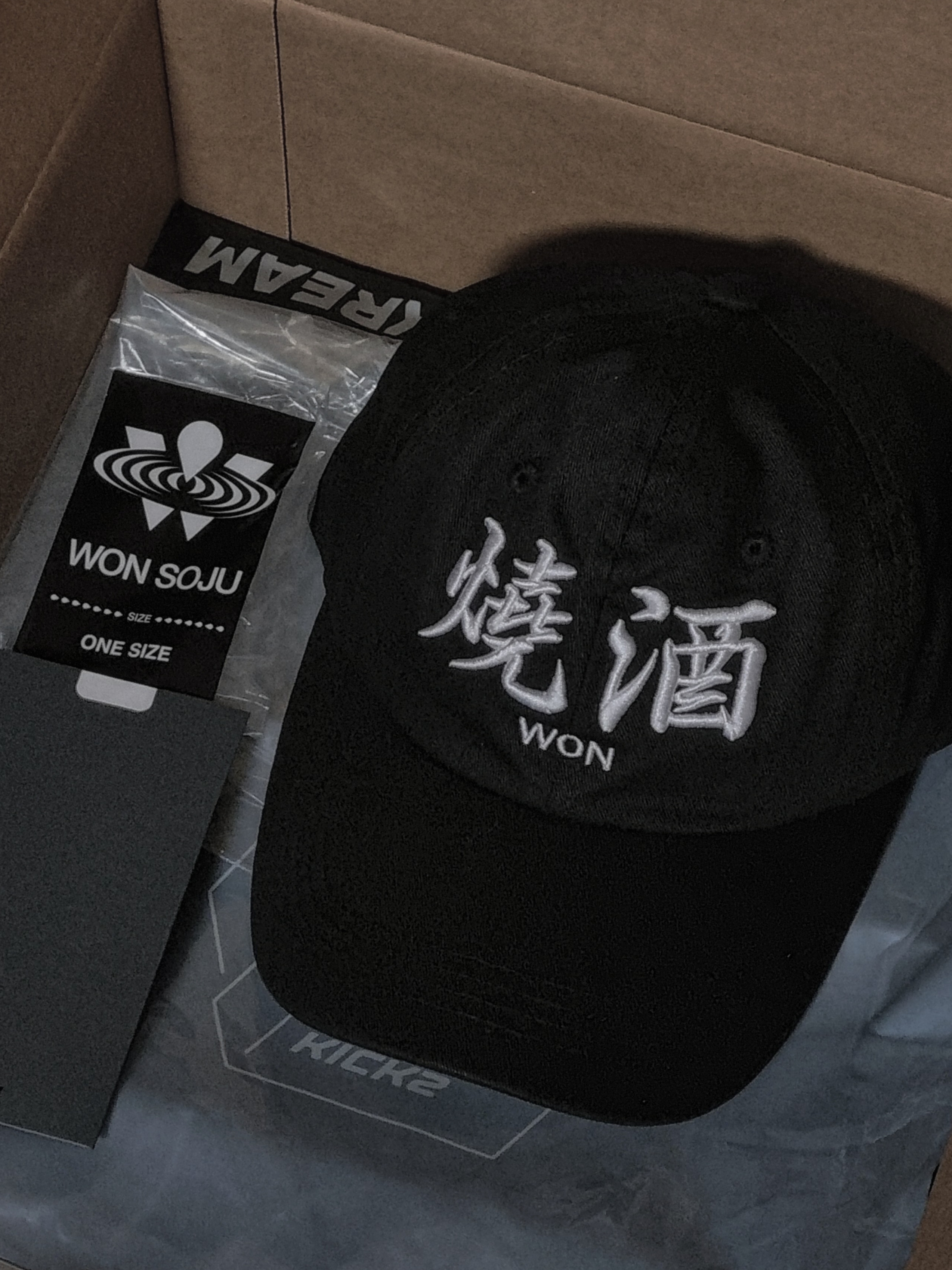 Darkr8m Studio x Wonsoju Ball Cap Black 착용 스타일