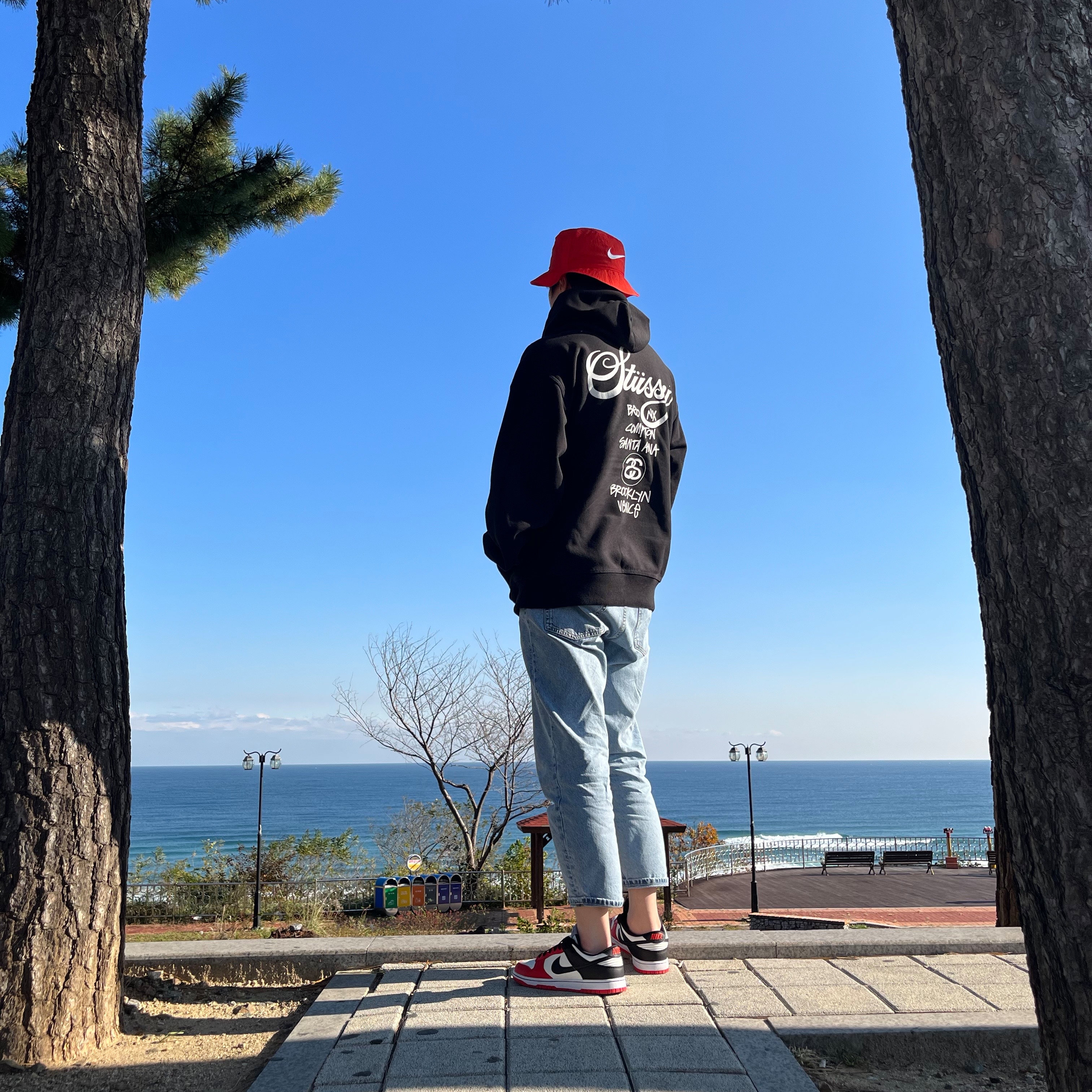 Nike x NBA Dunk Low Retro EMB Black and Chile Red, Stussy World Tour Hoodie Black 2022 착용 스타일