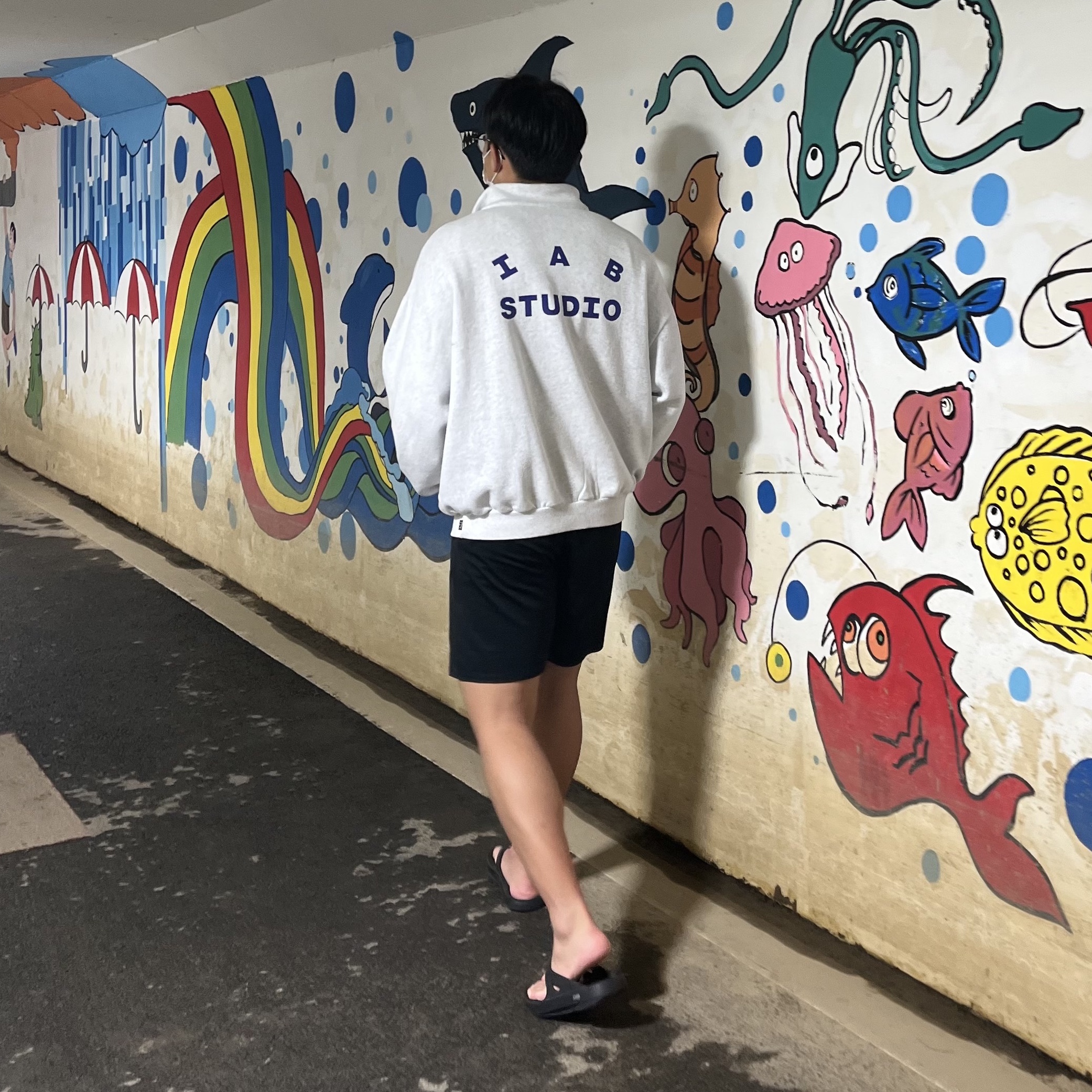 IAB Studio Half Zip Pullover Light Gray, Oofos OOriginal Black 착용 스타일
