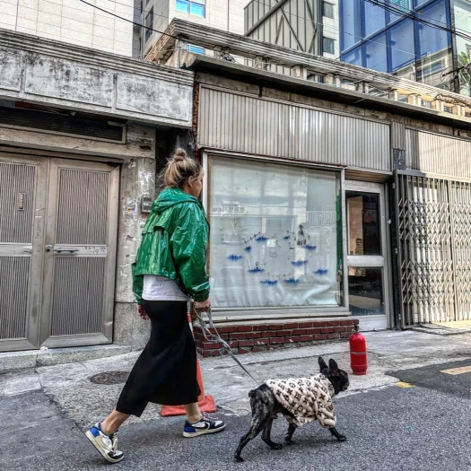 스타일 카드