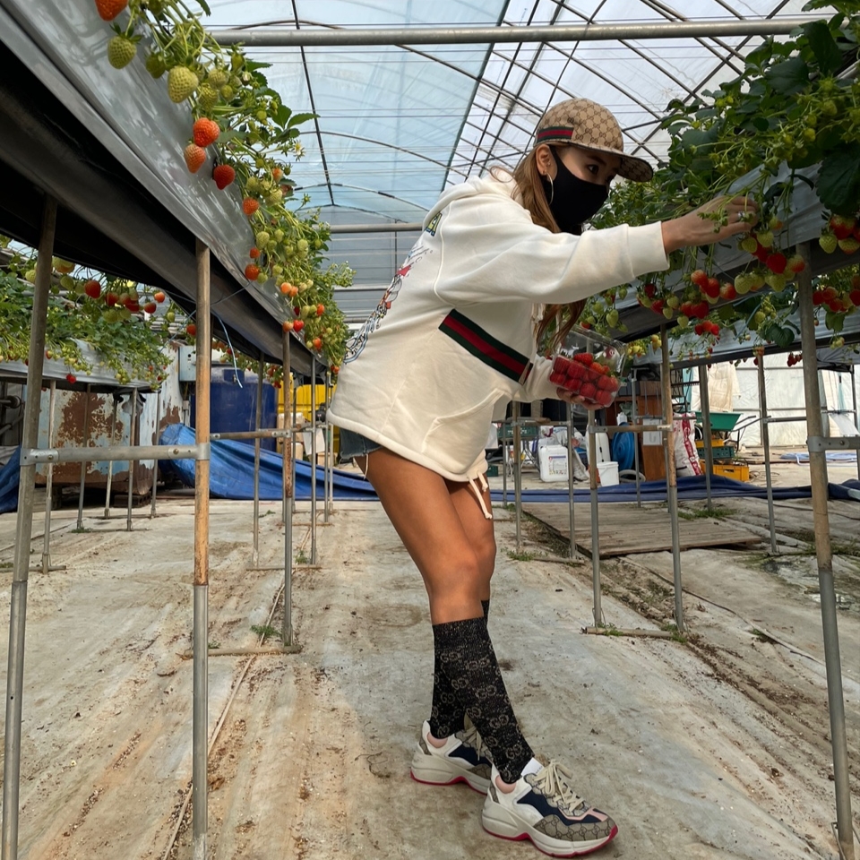 (W) Gucci GG Rhyton Beige Sneakers Ebony Blue, Gucci Original GG Baseball Hat with Web Beige Ebony 착용 스타일