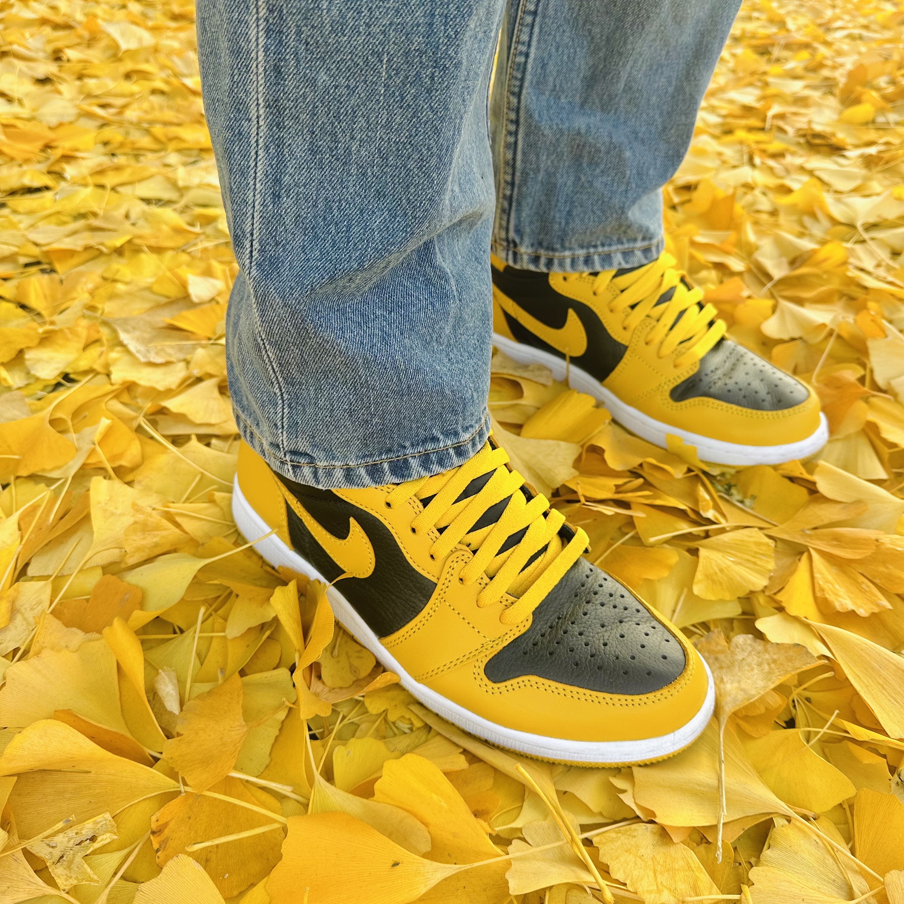 Jordan 1 Retro High OG Pollen 착용 스타일