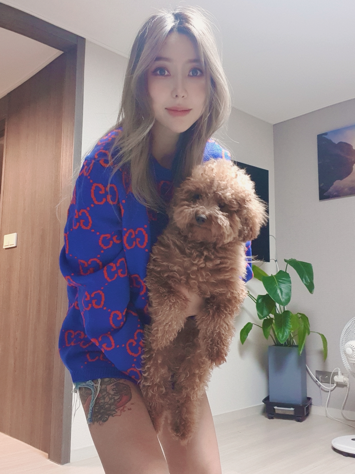 Gucci GG Knit Sweater Blue Red 착용 스타일 - 3