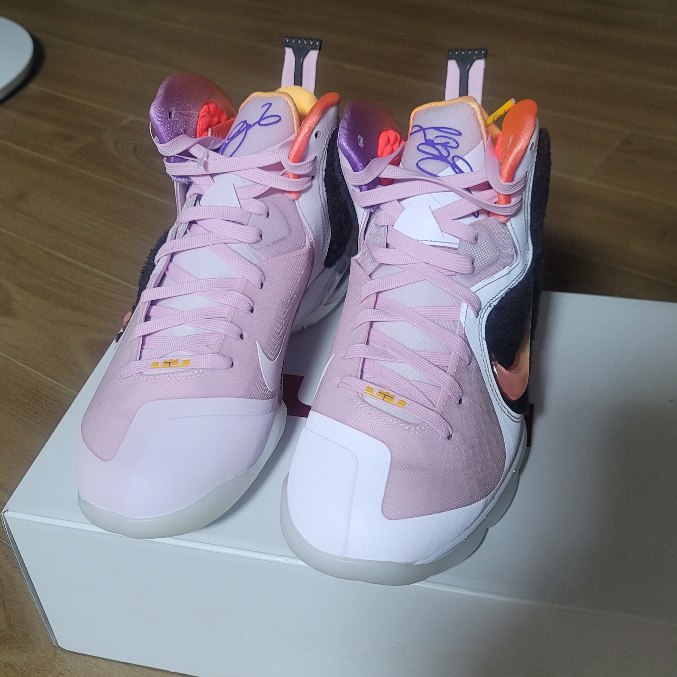 Nike LeBron 9 Regal Pink and Velvet Brown 착용 스타일 - 1