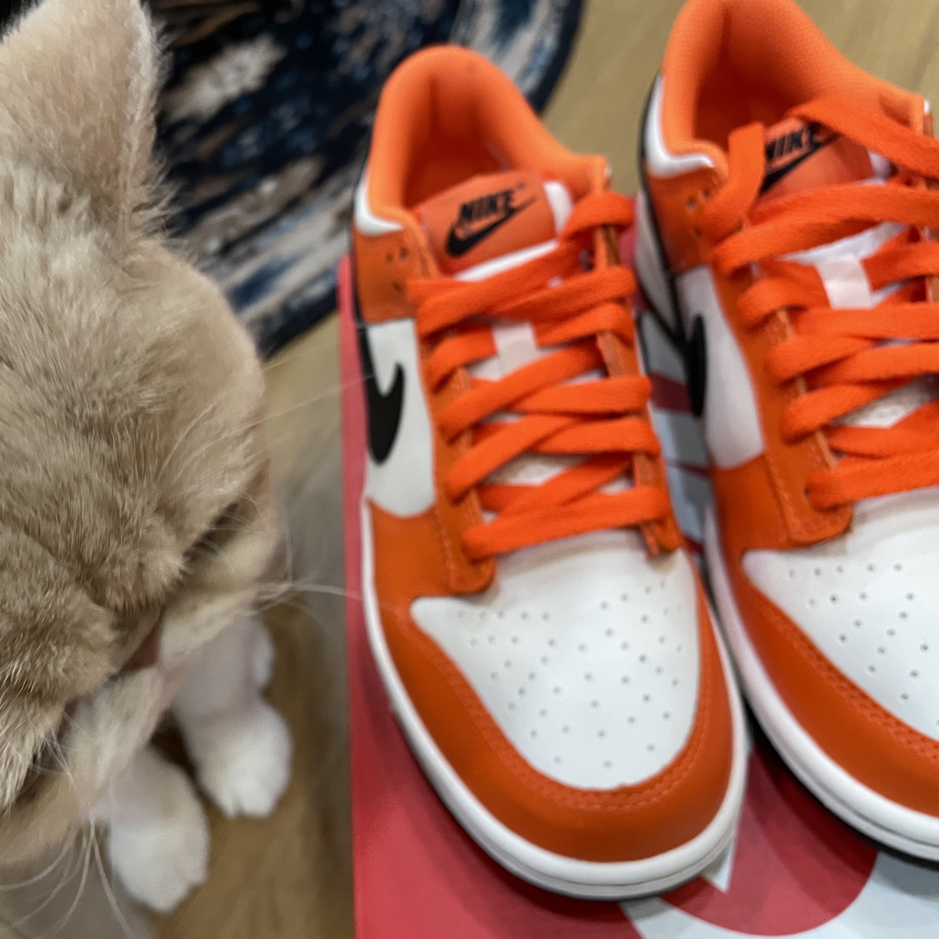 (GS) Nike Dunk Low Safety Orange 착용 스타일