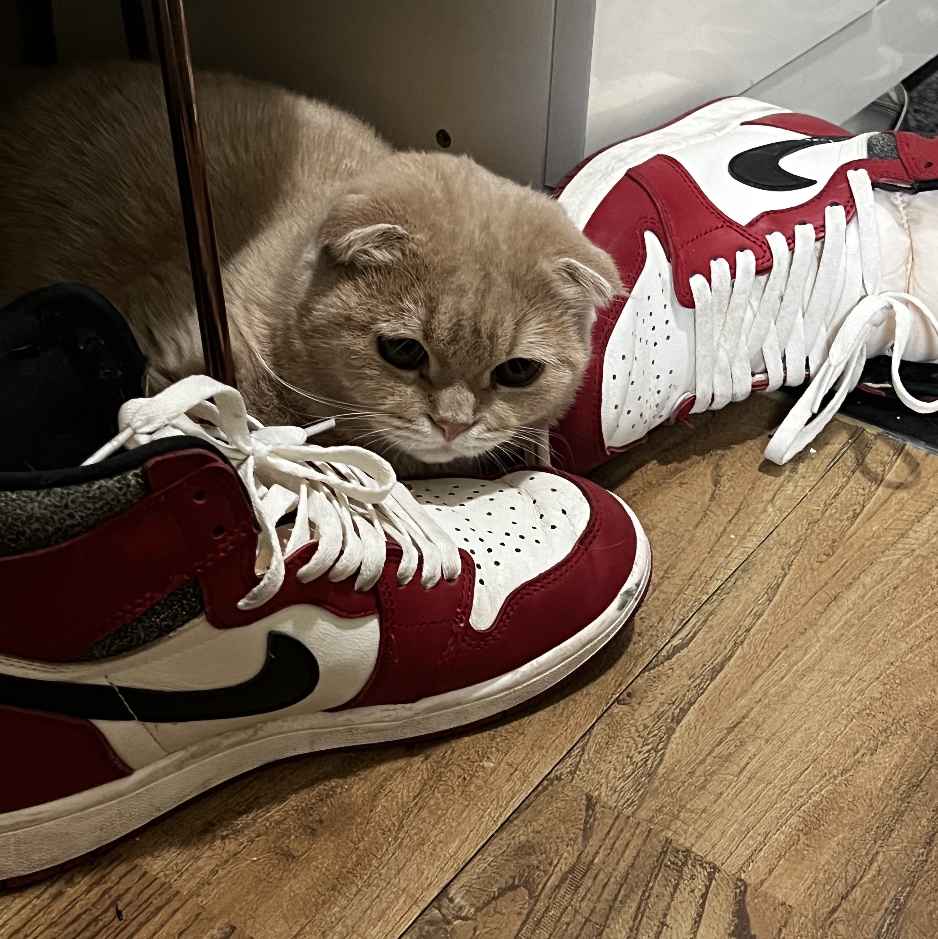 Jordan 1 Retro High OG Chicago 2022 착용 스타일