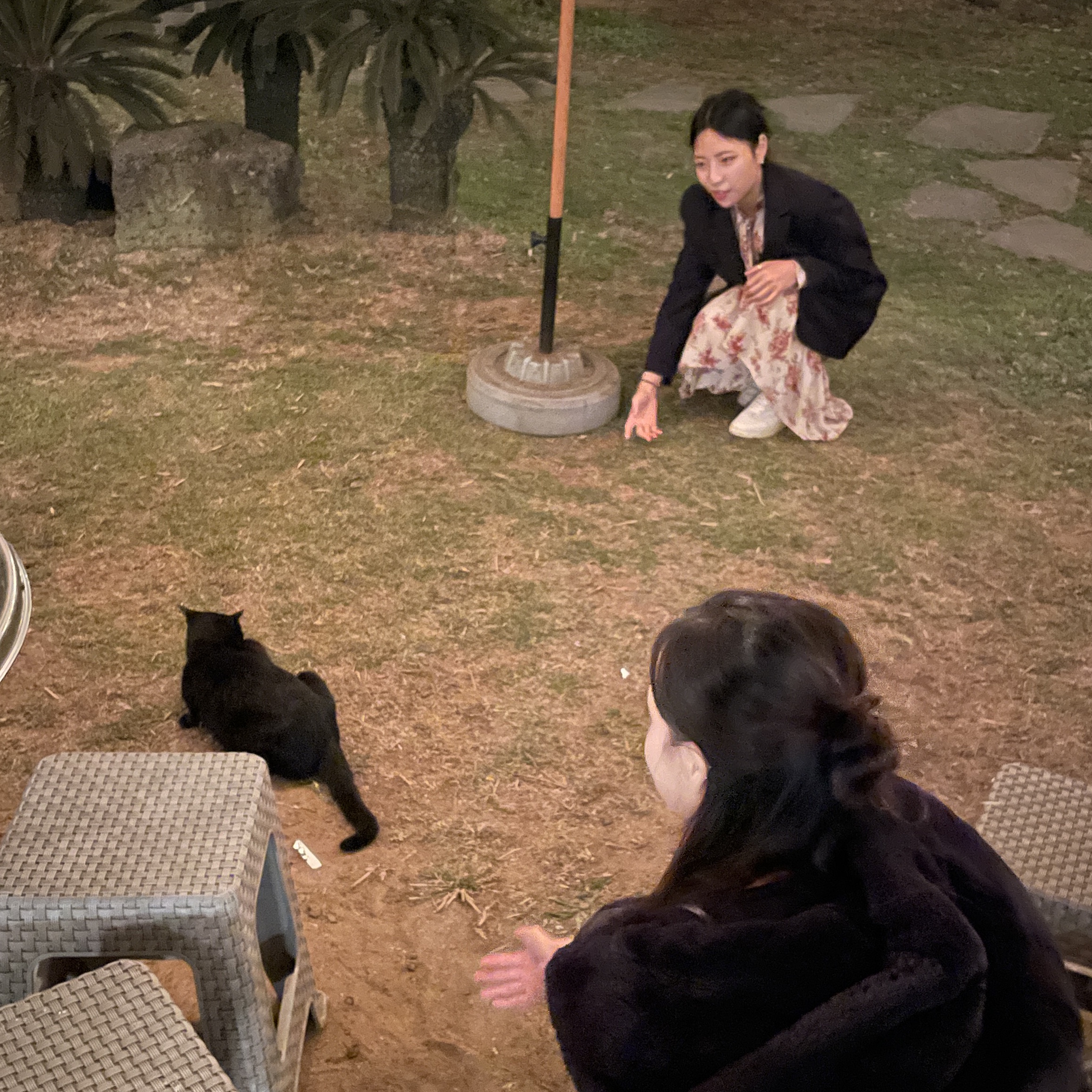 (W) Autry Medalist Low Goatskin Sneakers White, Autry Medalist Low Goatskin Sneakers White 착용 스타일 - 3