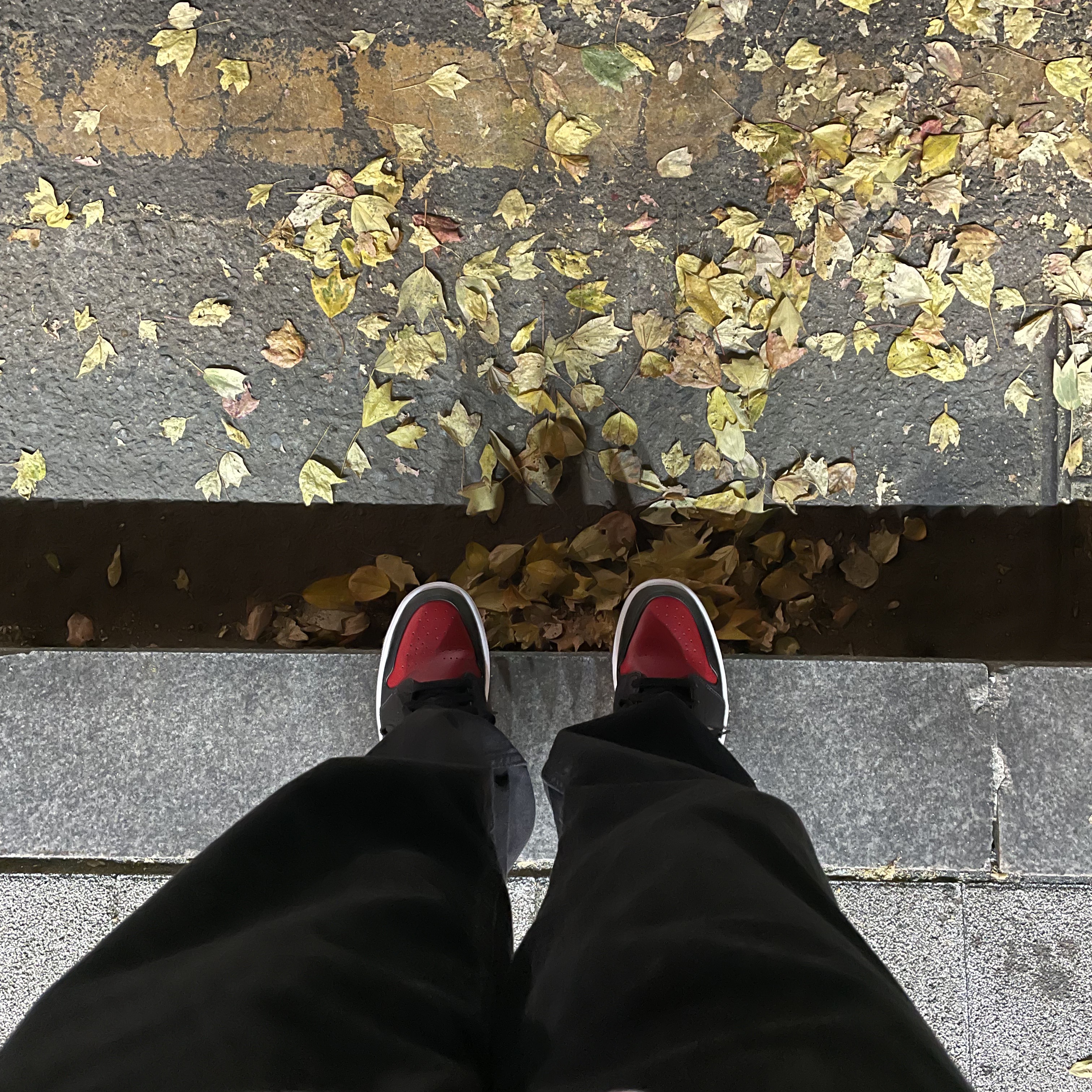 Jordan 1 Low Bred Toe 착용 스타일