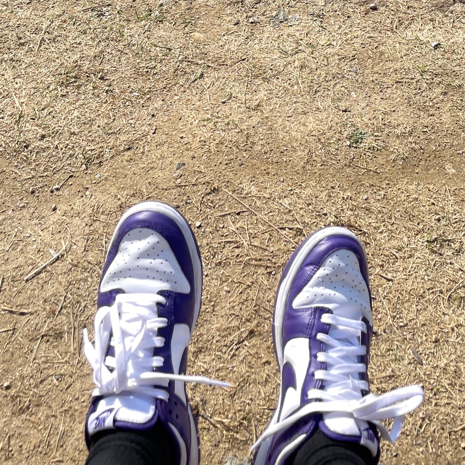Nike Dunk Low Retro Championship Court Purple 착용 스타일 - 2