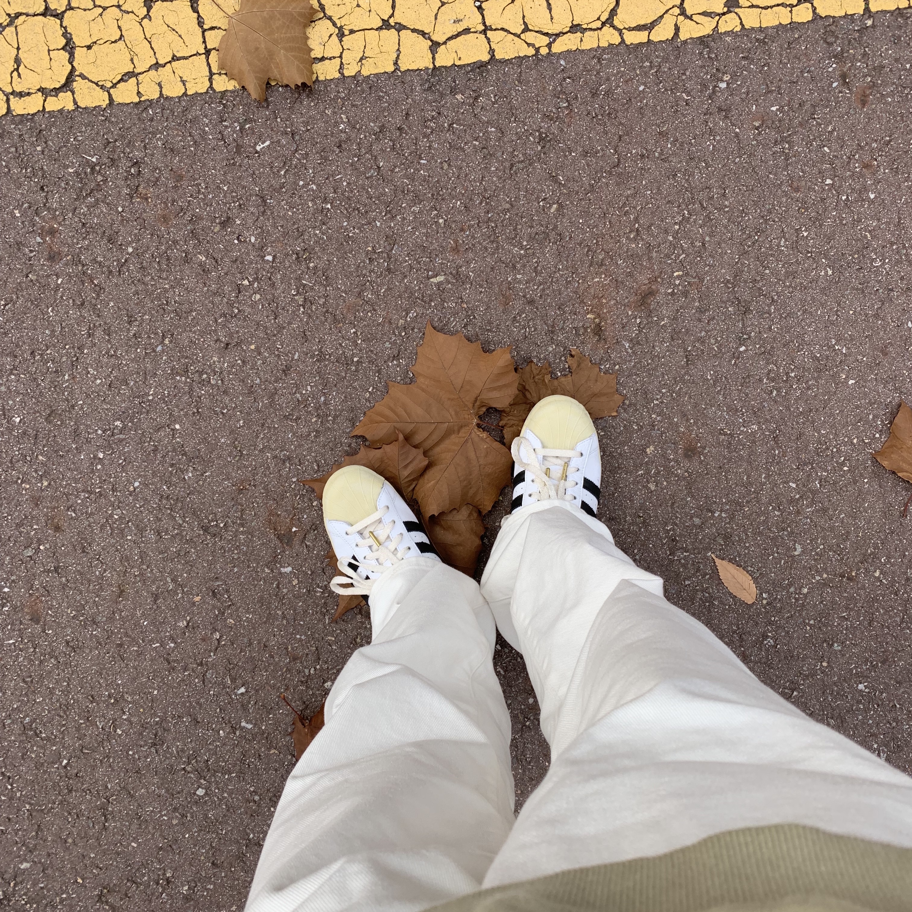 Adidas Superstar Premium White Black 착용 스타일