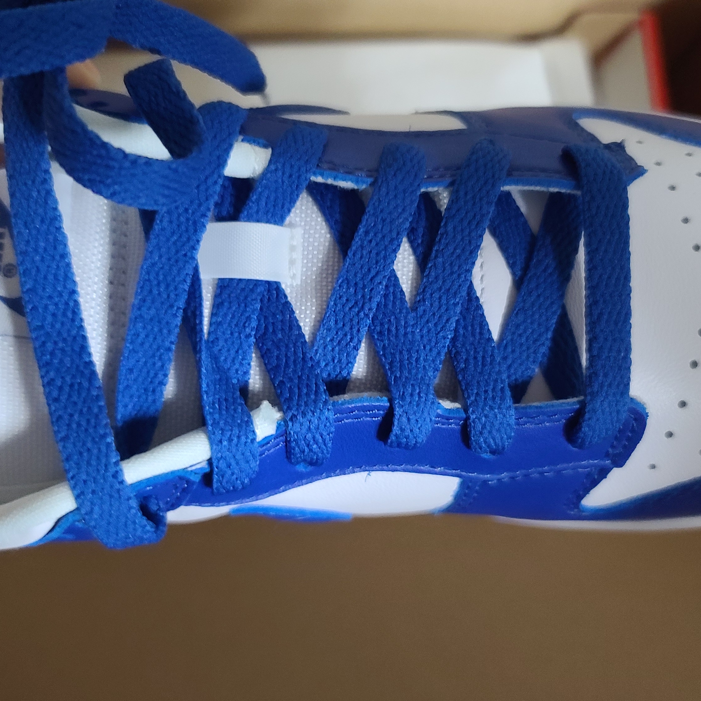 Nike Dunk Low SP Kentucky 2022 착용 스타일 - 4