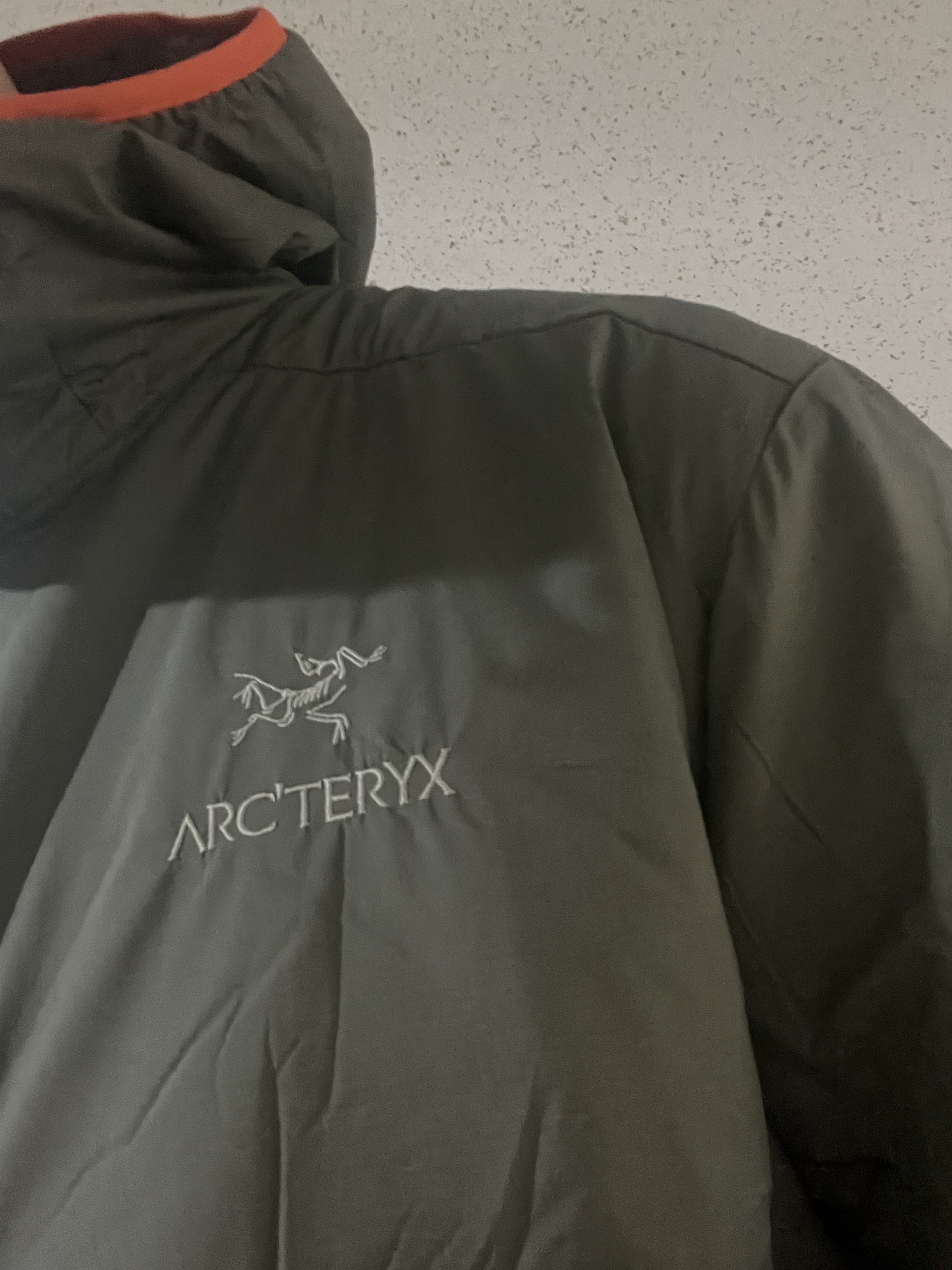 Arc'teryx Atom LT Hoody Forage 착용 스타일 - 3