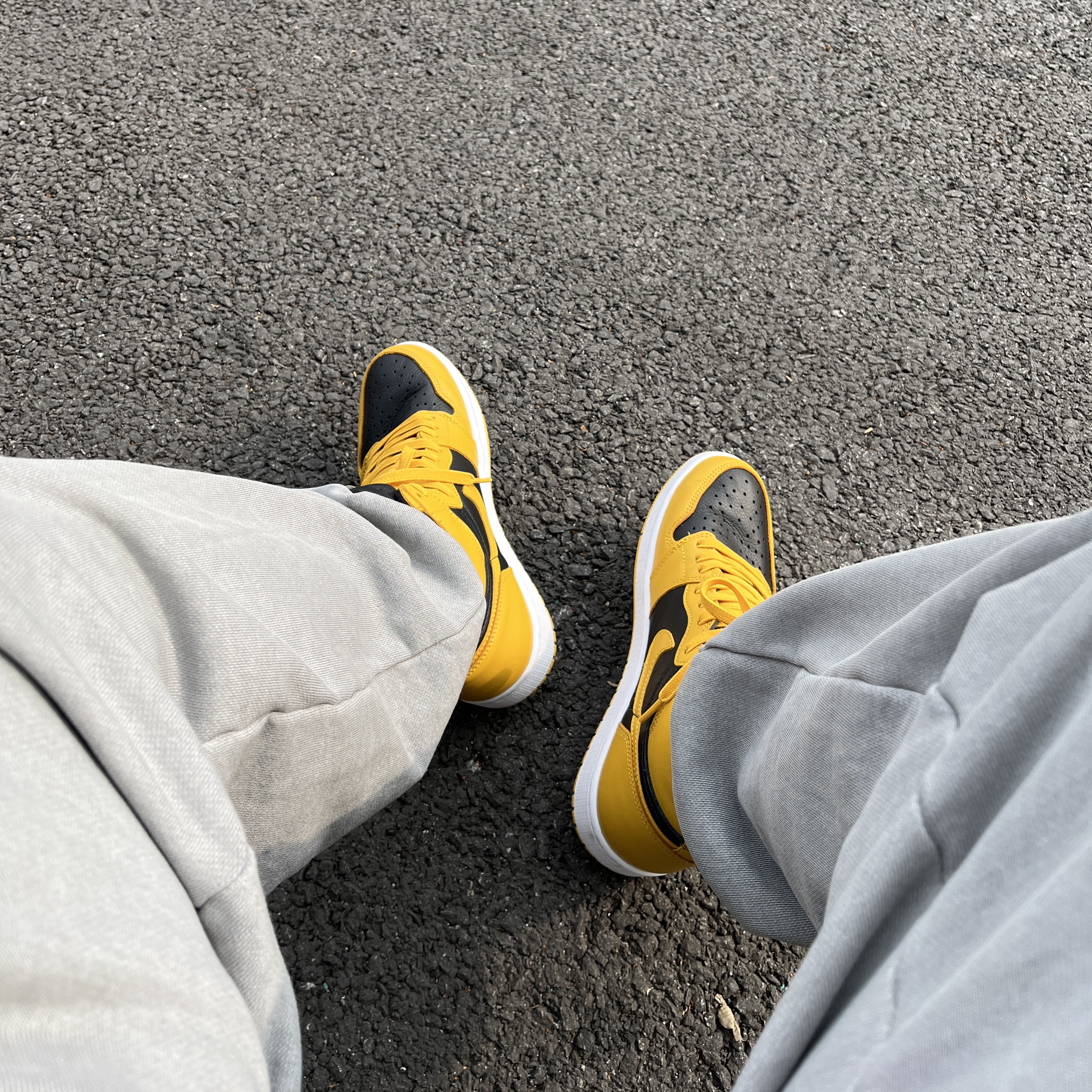 Jordan 1 Retro High OG Pollen 착용 스타일