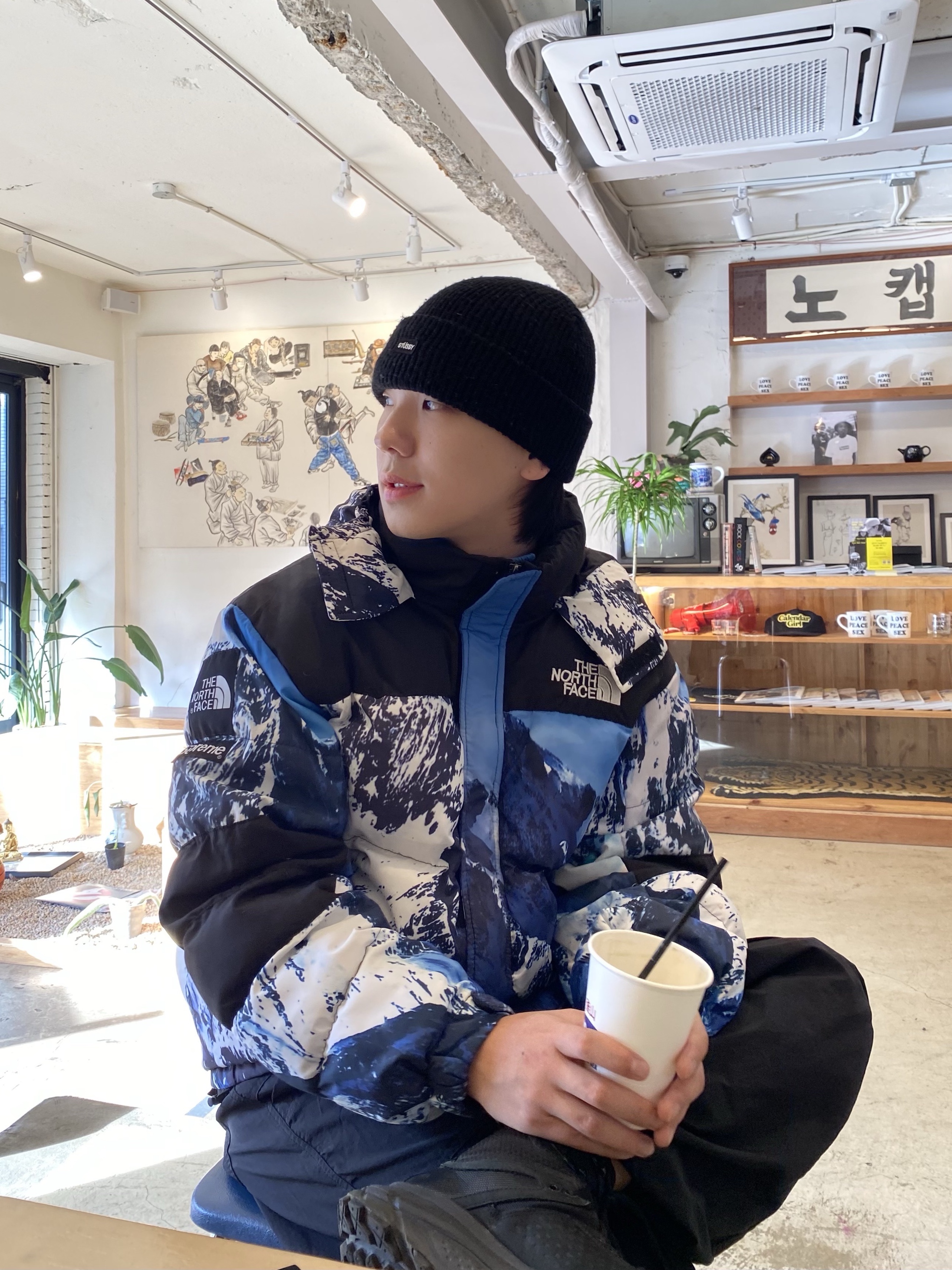 Supreme x The North Face Mountain Parka Blue White - 17FW 착용 스타일 - 1