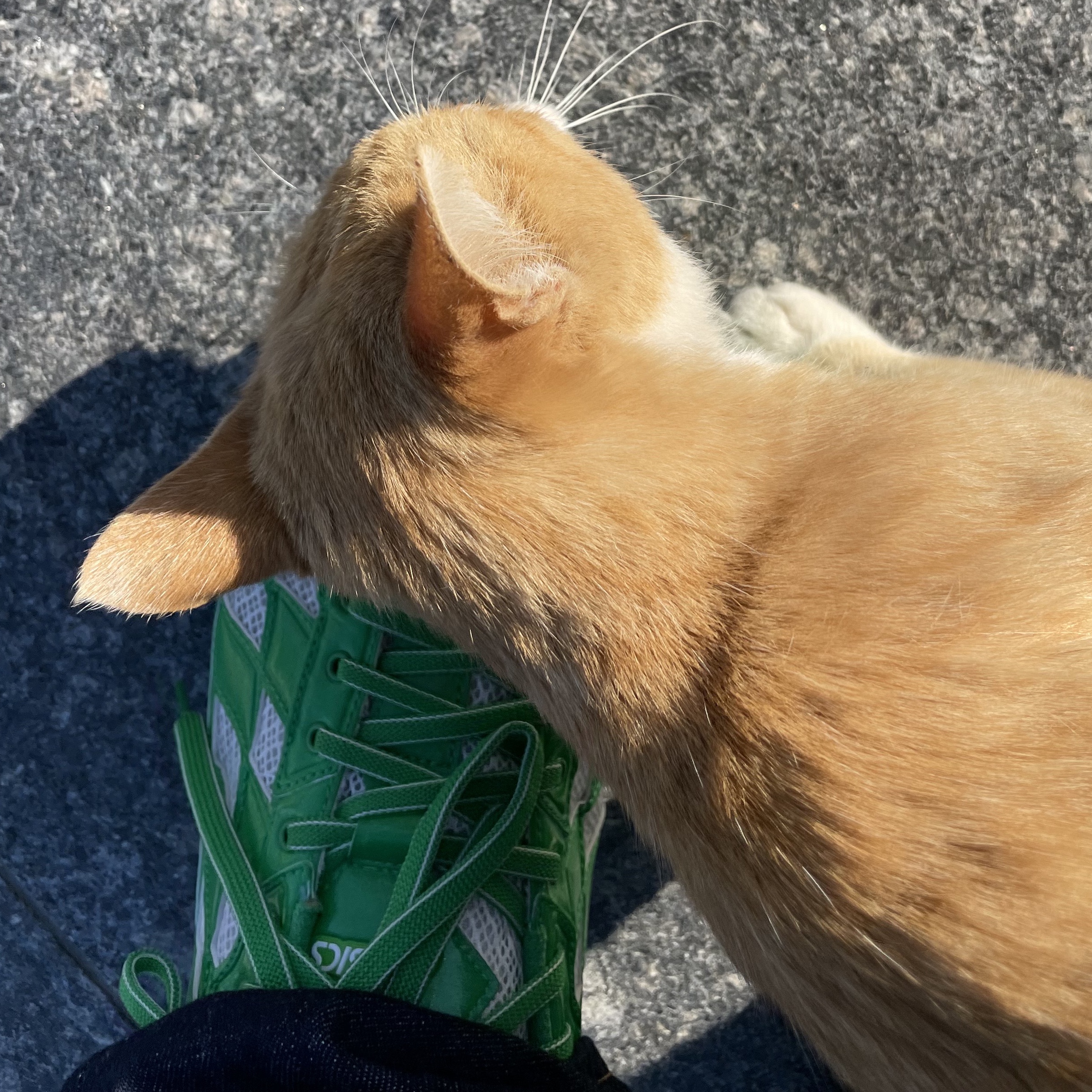 Asics x Kiko Kostadinov Gel-Kiril Cilantro 착용 스타일 - 2