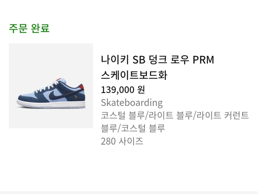 Nike x Why So Sad? SB Dunk Low Pro Coastal Blue 착용 스타일