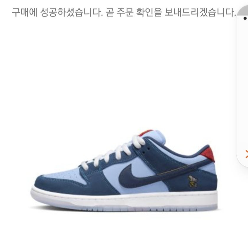 Nike x Why So Sad? SB Dunk Low Pro Coastal Blue 착용 스타일